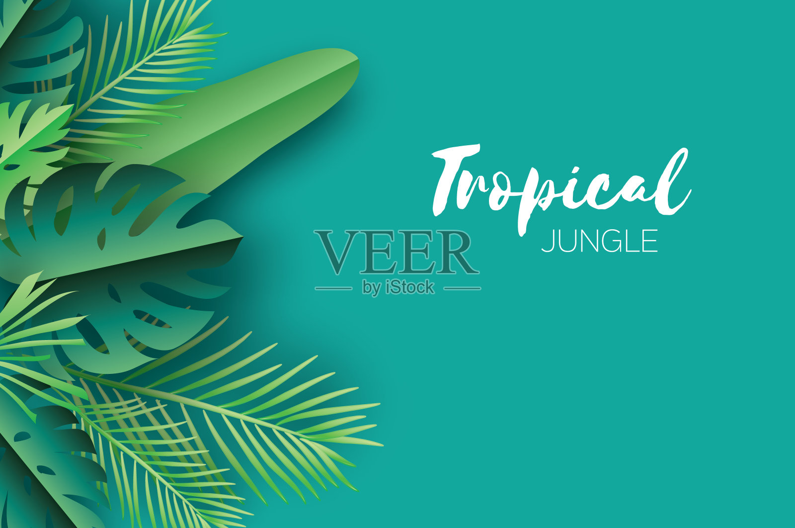 热带棕榈叶、植物。剪纸的风格。奇异的夏威夷的夏天。空间的文本。美丽的深绿色丛林花卉背景。蓬莱蕉,手掌。向量插画图片素材