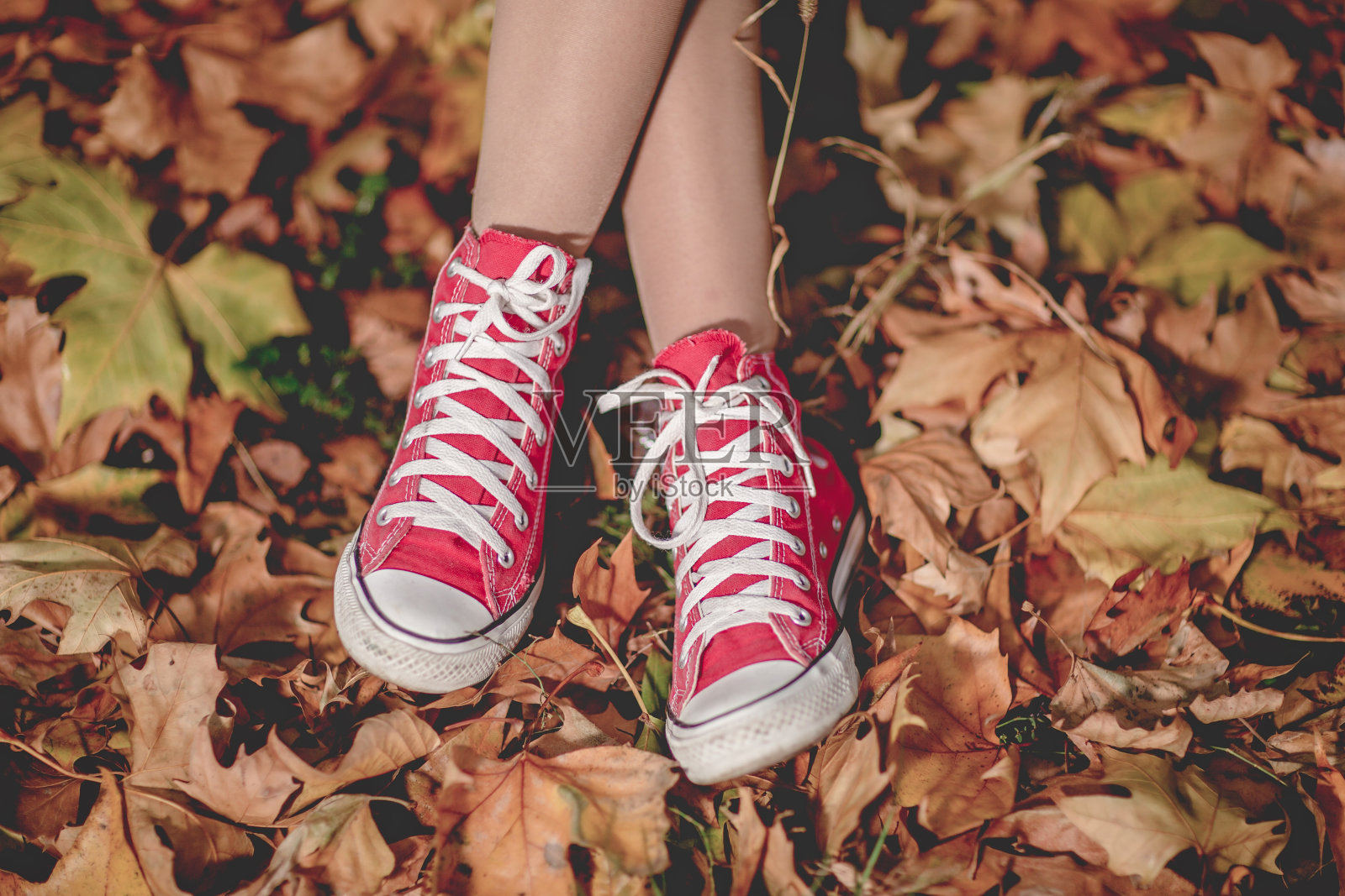 红色运动鞋照片摄影图片