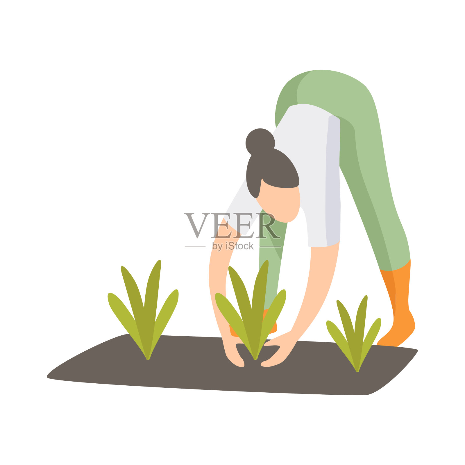 妇女在花园里照料植物，女孩种植载体农产品插画插画图片素材