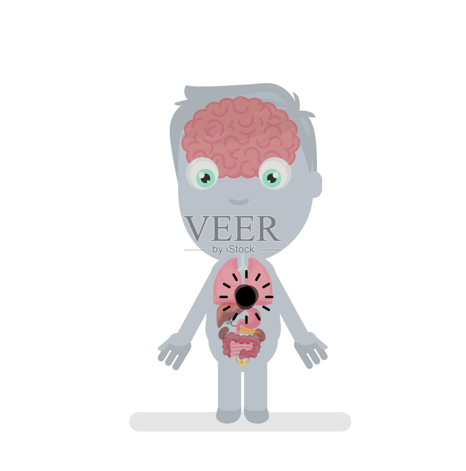 人体解剖学插画图片素材