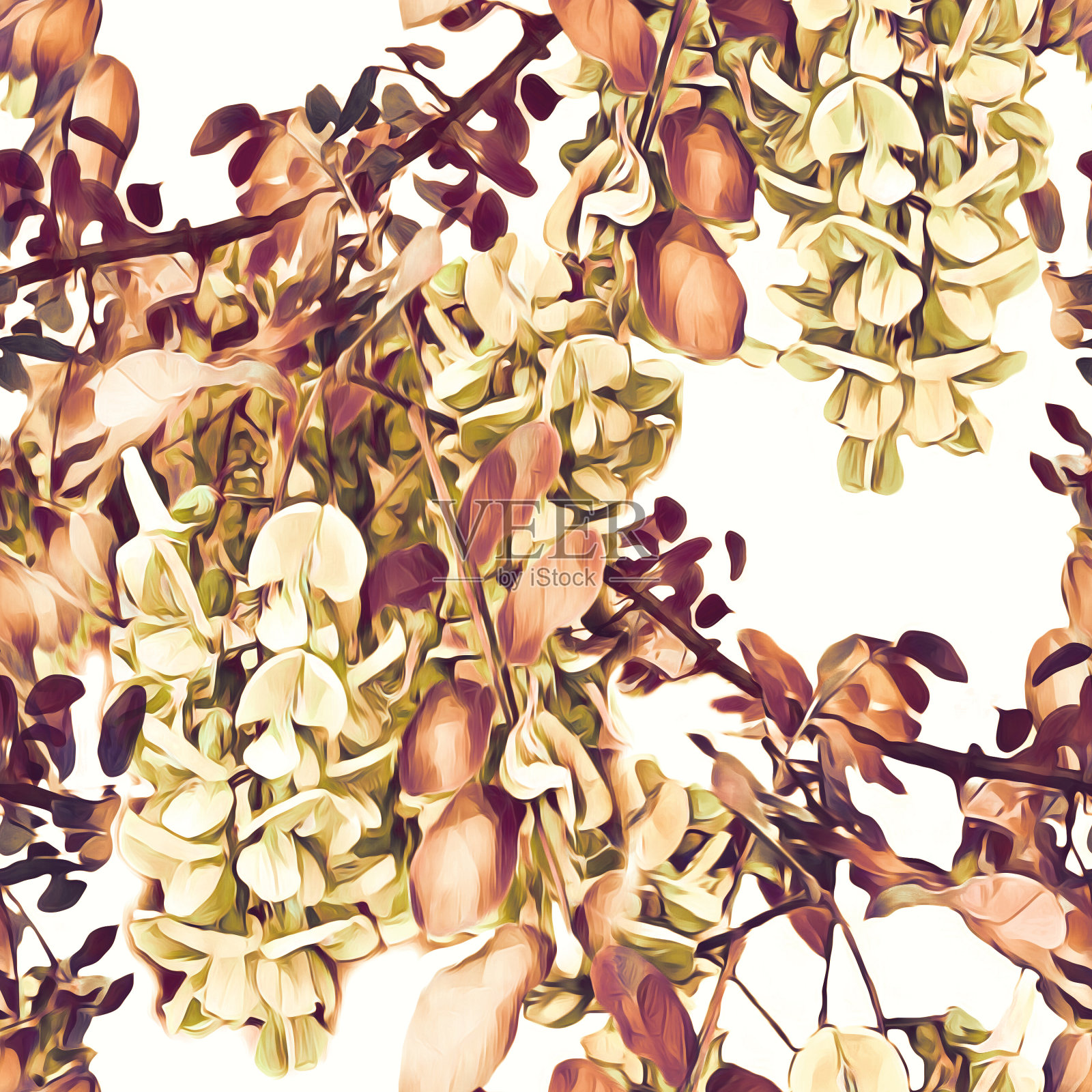 金合欢花无缝图案，模板。插画图片素材