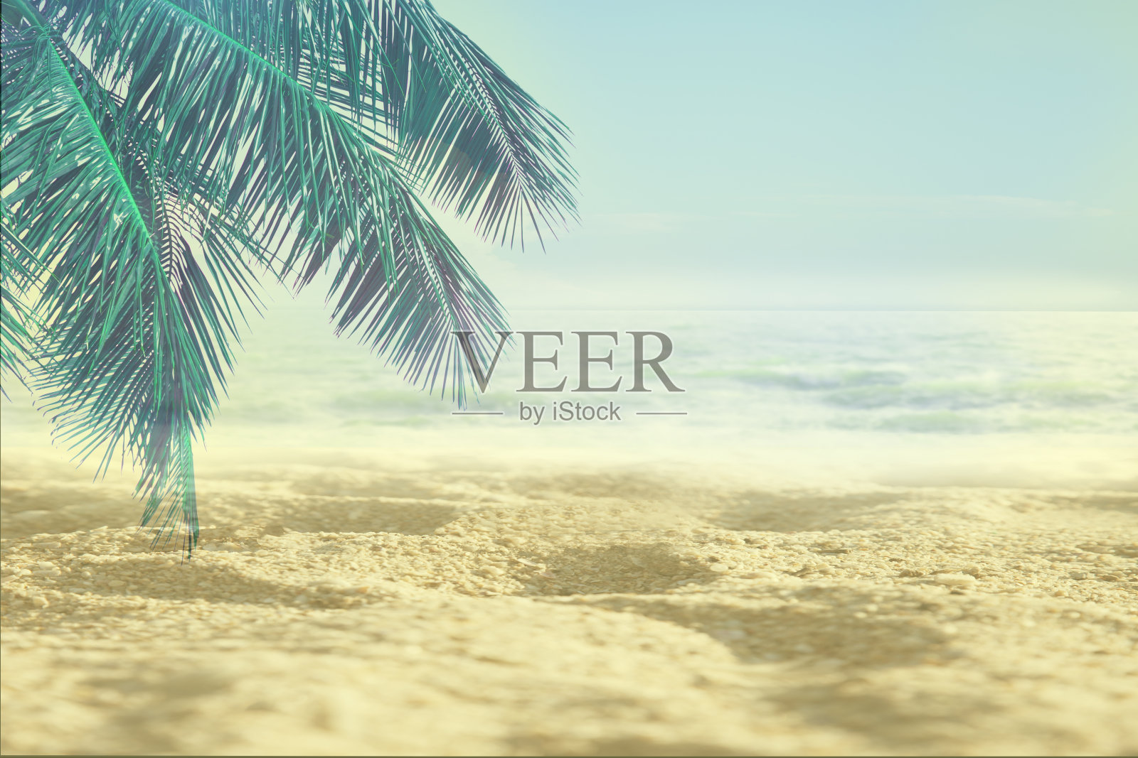 你好夏天，热带沙滩与大海和椰子叶放松时间。快乐和放松的海滩在夏天的概念。照片摄影图片