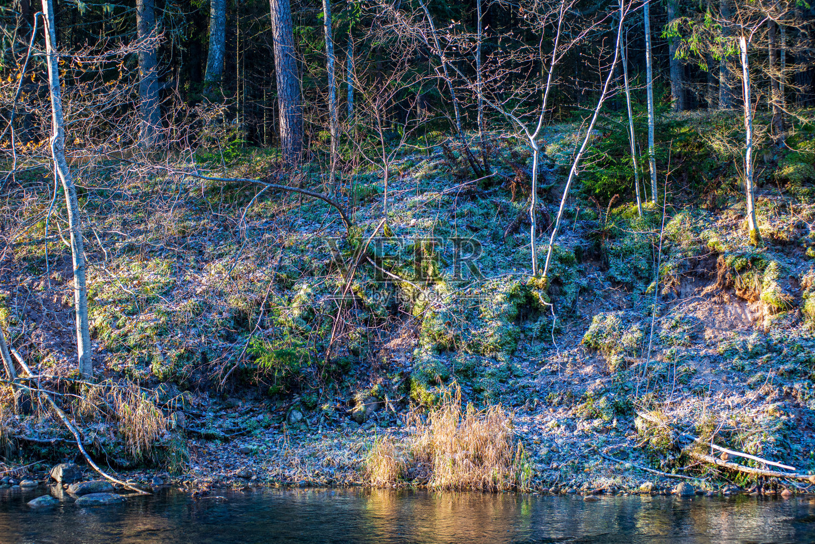 天然沙石悬崖在河岸边的森林中照片摄影图片