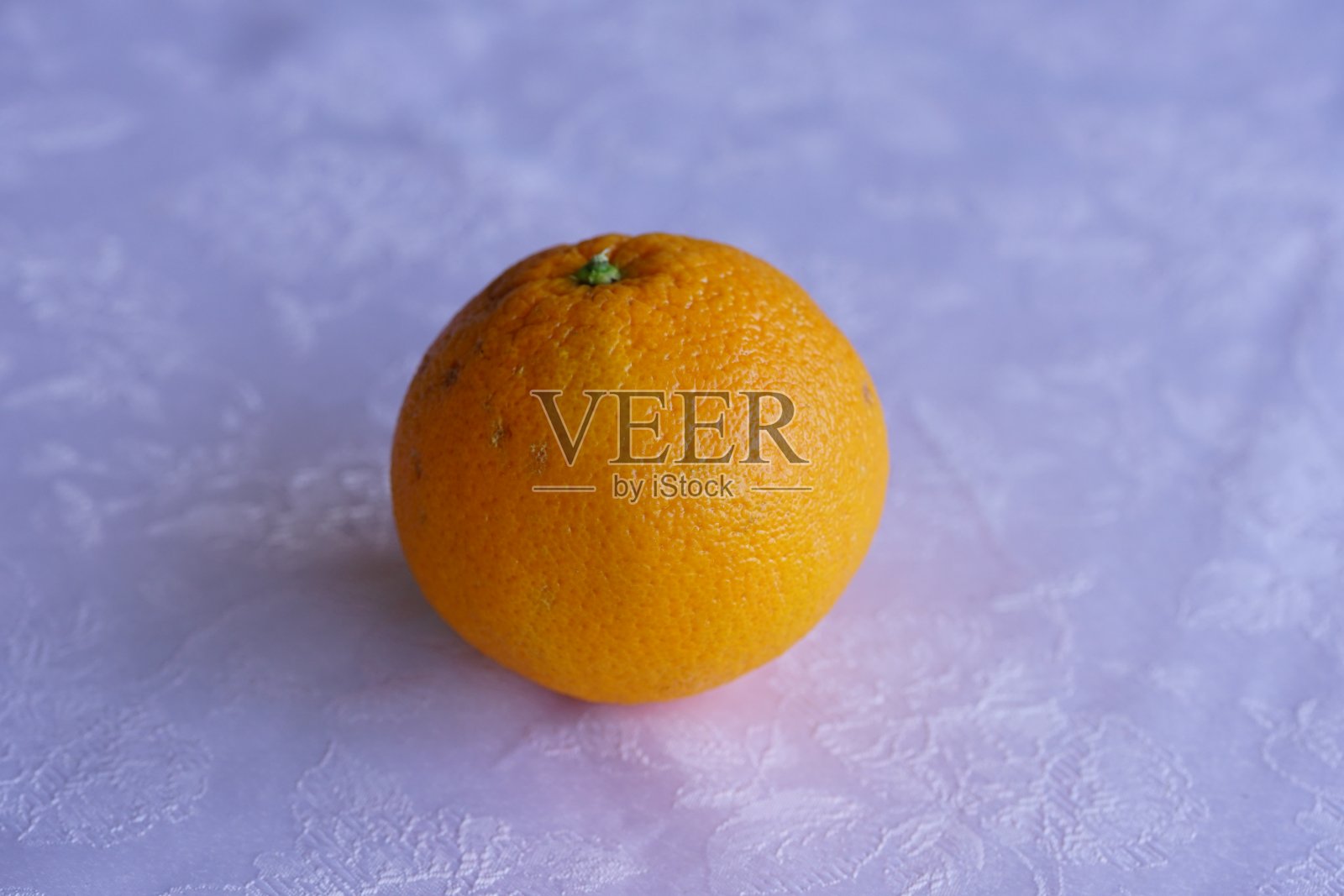 阳光下的橙色捕捉照片摄影图片