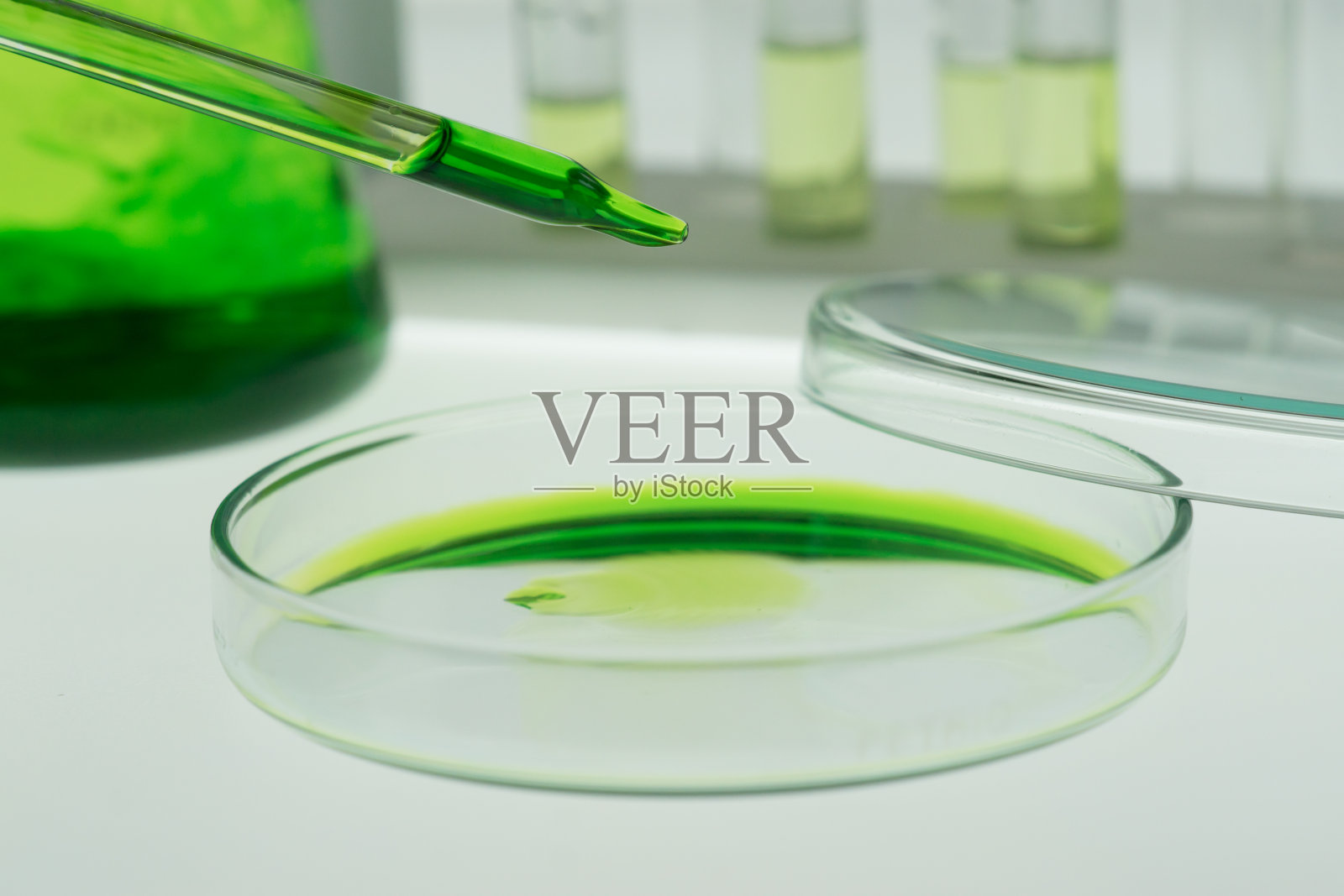 移液管将样本放入培养皿。照片摄影图片