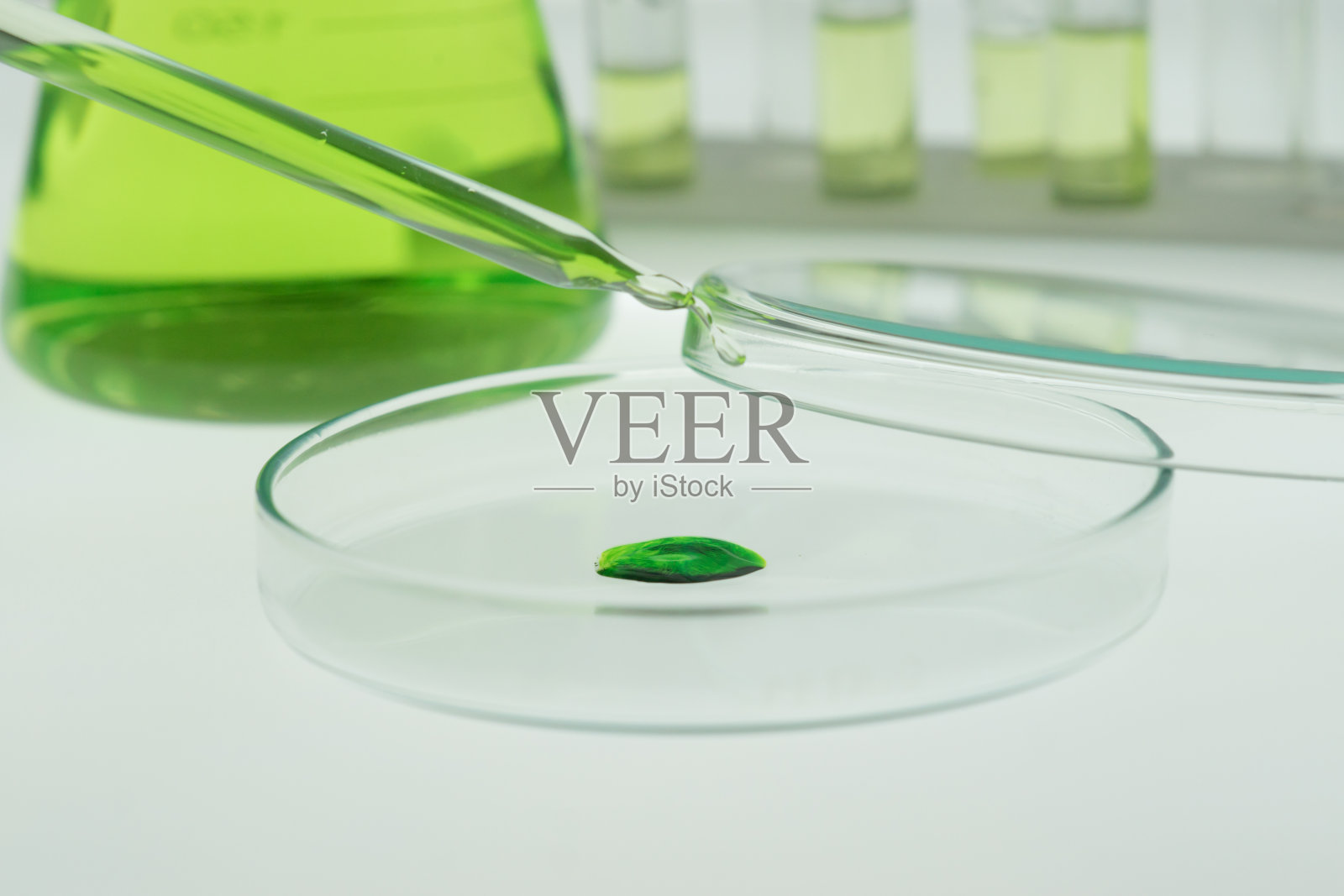 移液管将样本放入培养皿。照片摄影图片