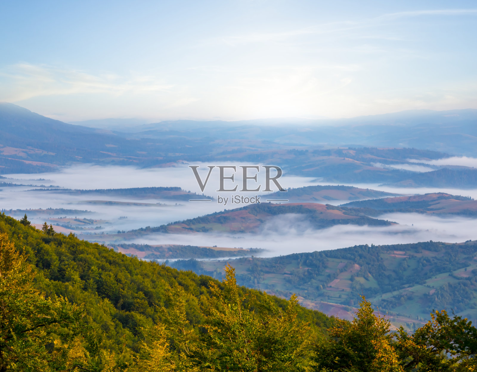 苍翠的山坡上，薄雾缭绕的山谷在日出的背景下照片摄影图片