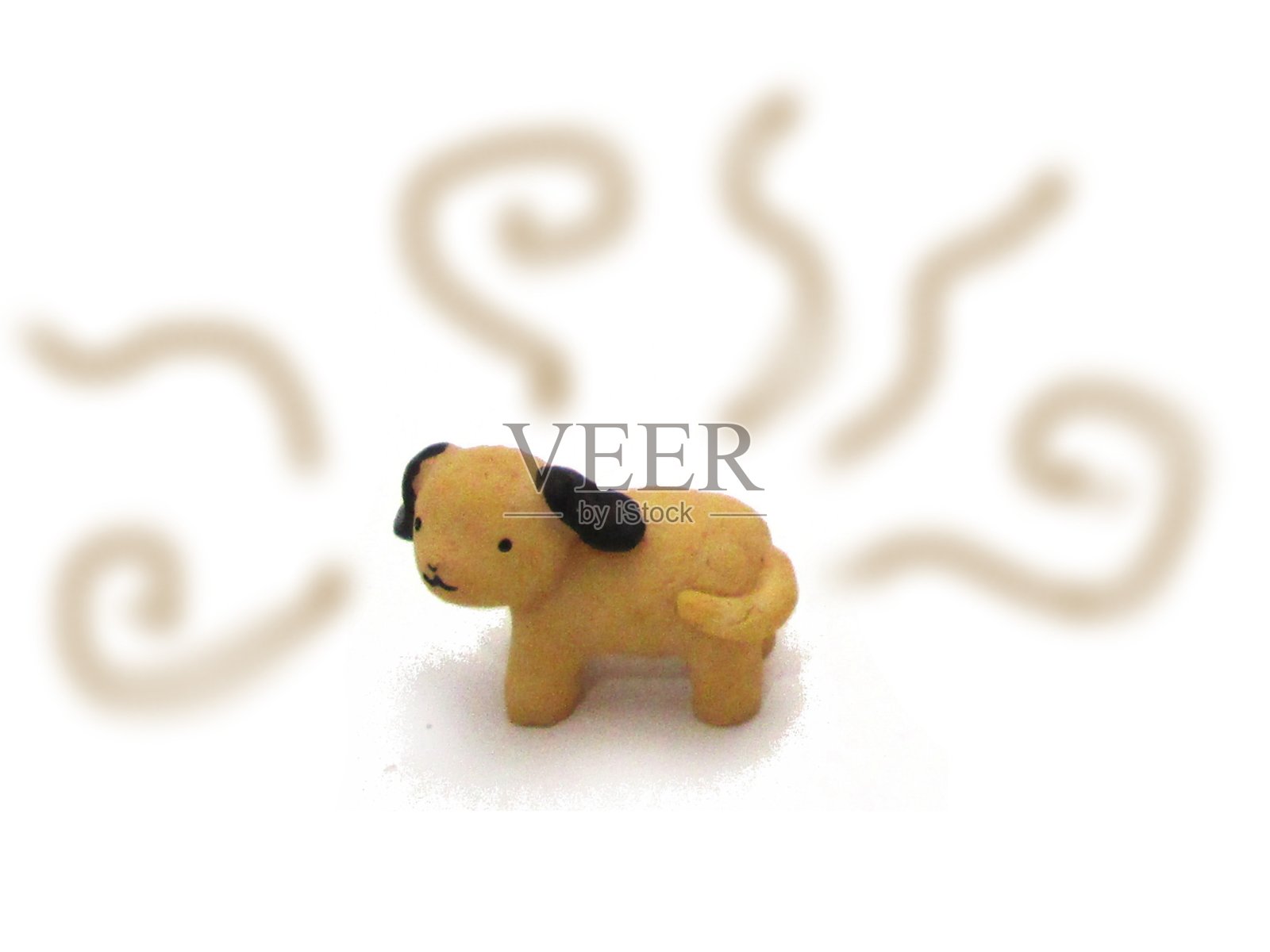 宠物的气味照片摄影图片