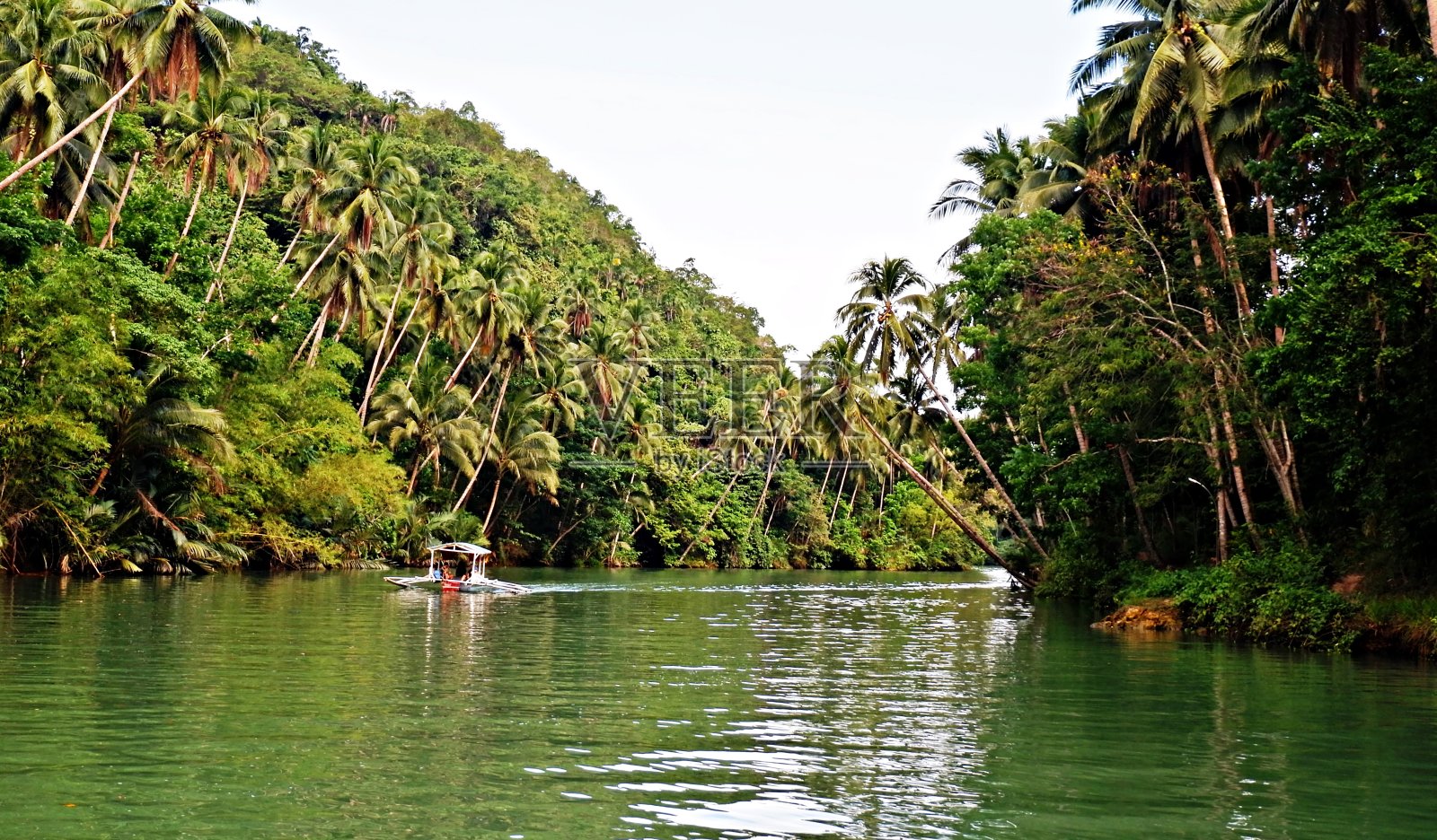 Bohol的Loboc河照片摄影图片