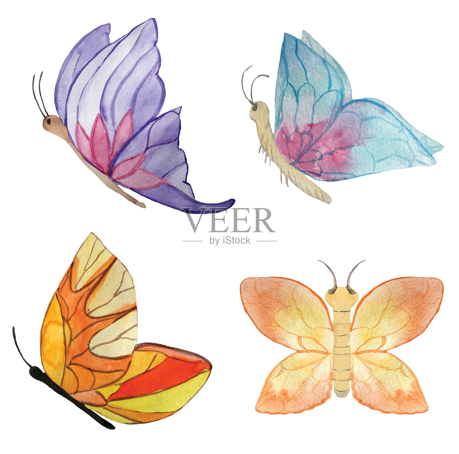 一组不同的蝴蝶在一个白色的背景。水彩插图设计插画图片素材