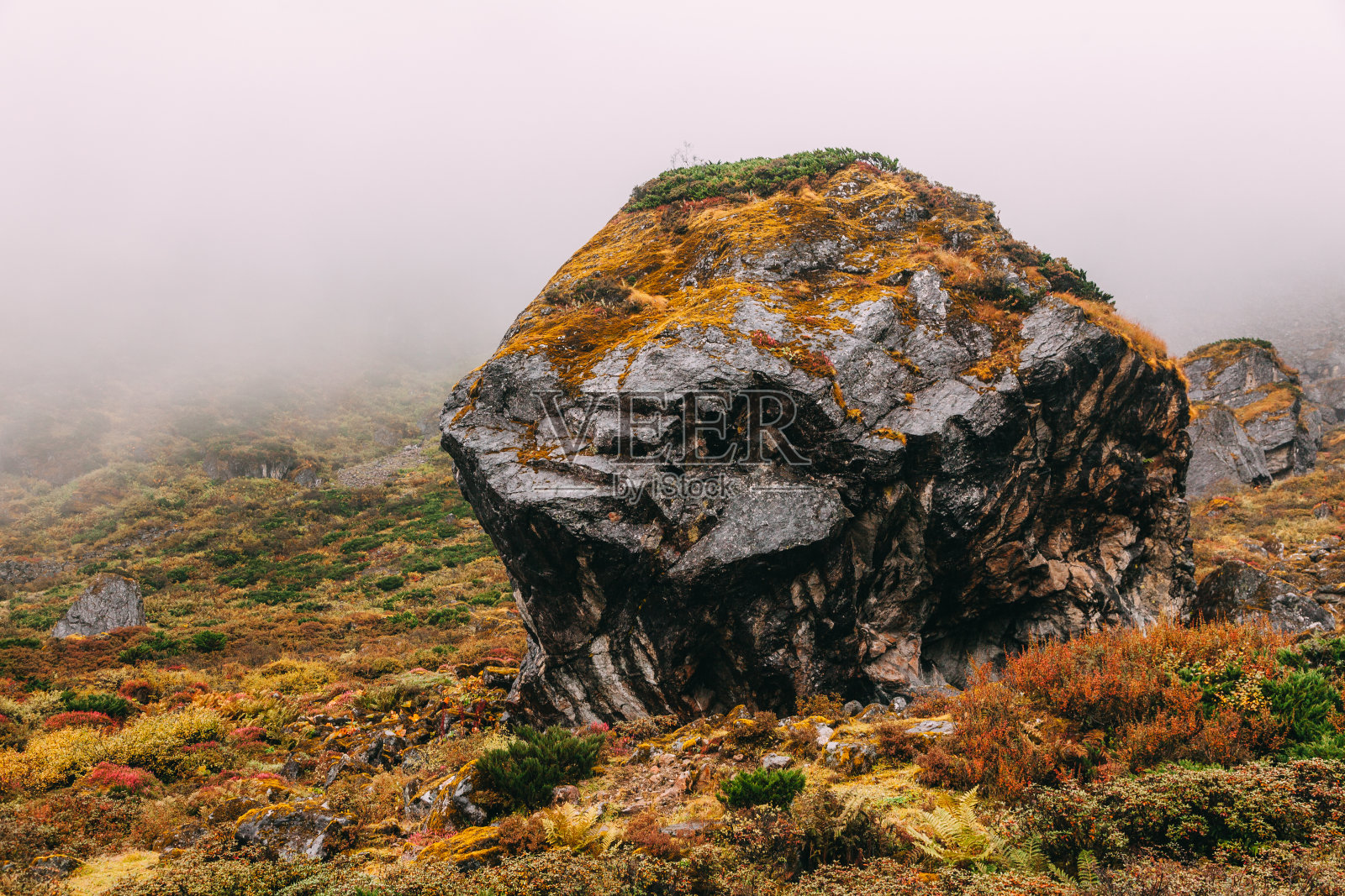 西藏喜马拉雅山的美丽山谷照片摄影图片