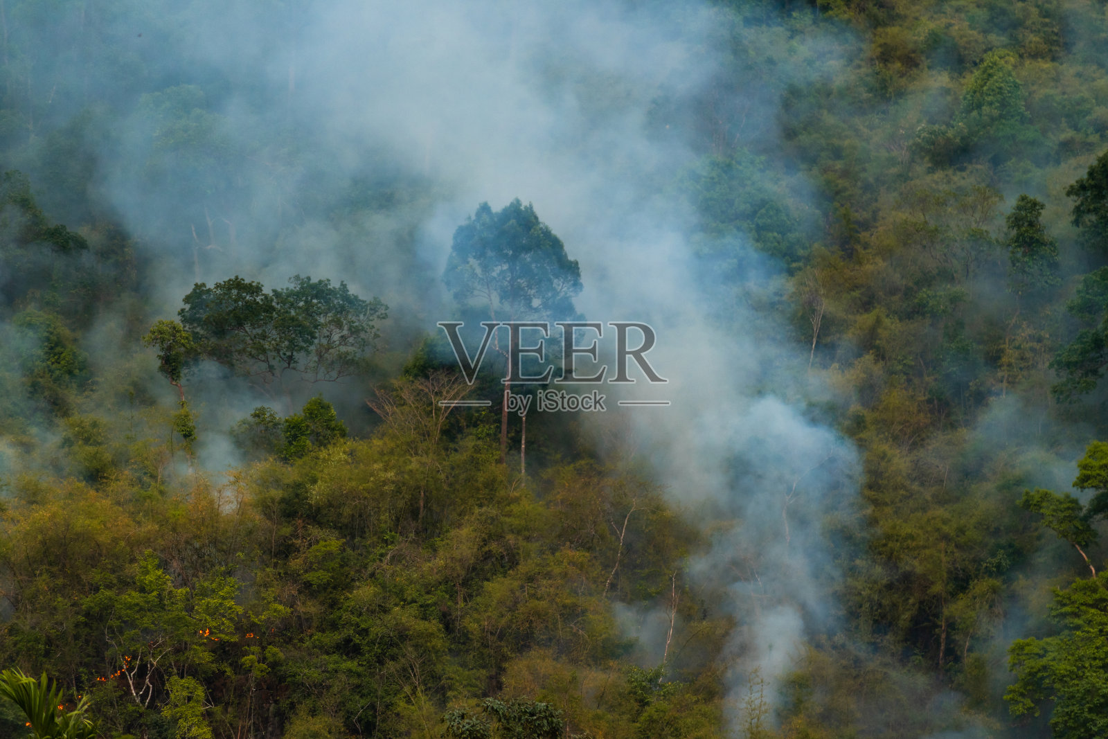 野火照片摄影图片