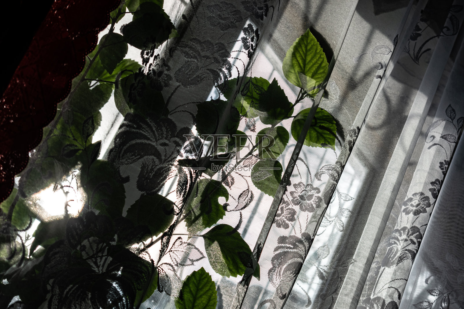 家里普通的窗户用透明的白色薄纱和红色缎子窗帘。阳光明媚的一天，外面是冬天。窗户上有一株绿色的木槿。照片摄影图片