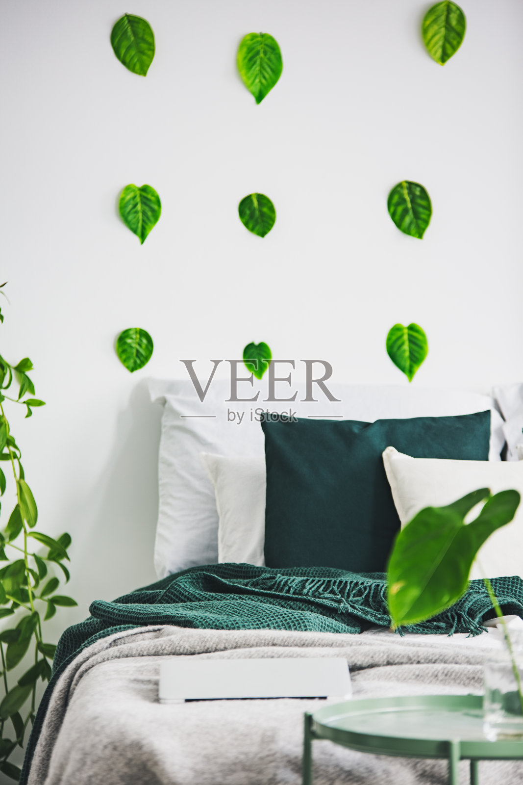 白色的卧室内部有特大号的床，墙上是绿叶照片摄影图片
