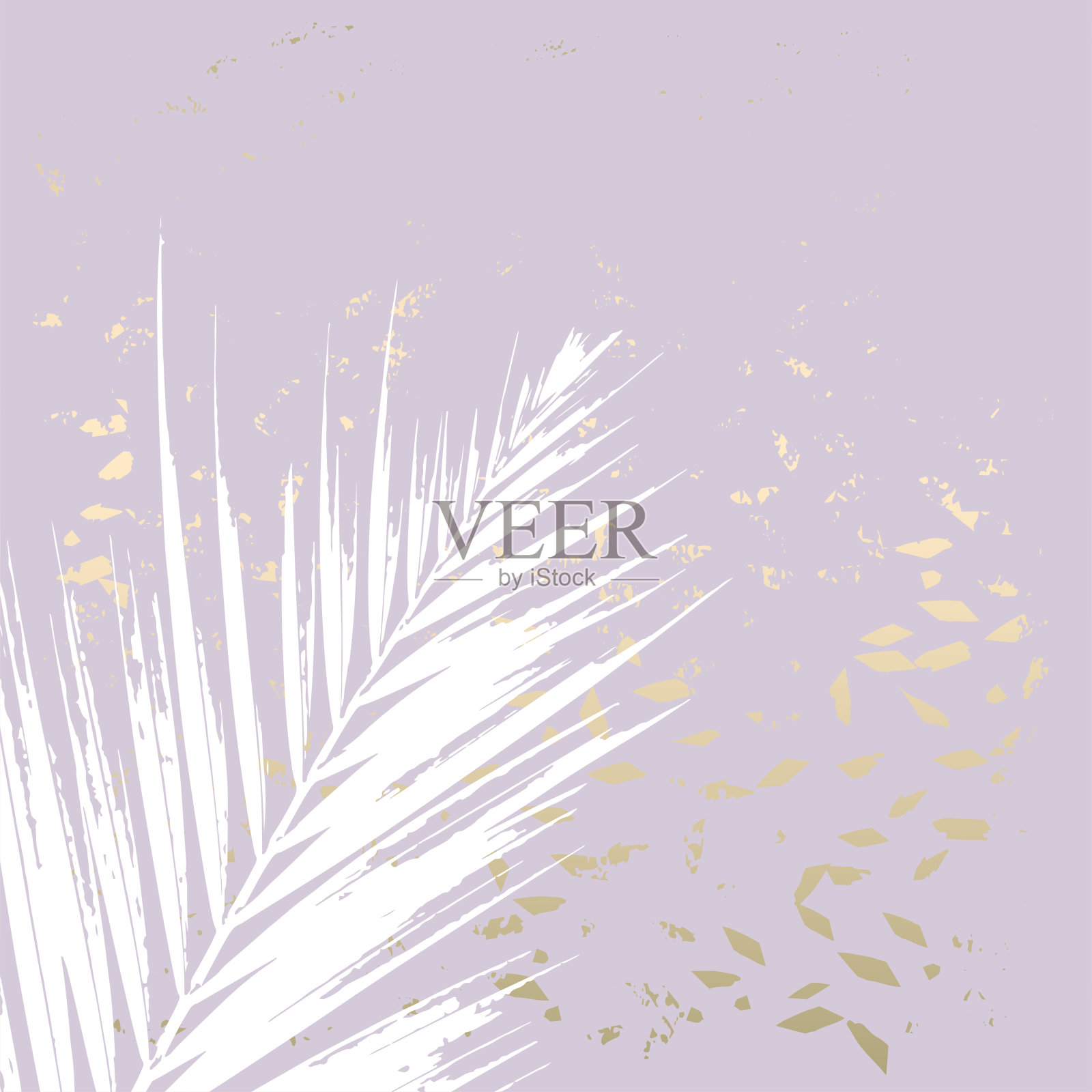 优雅的社交媒体时尚别致的金玫瑰横幅模板插画图片素材