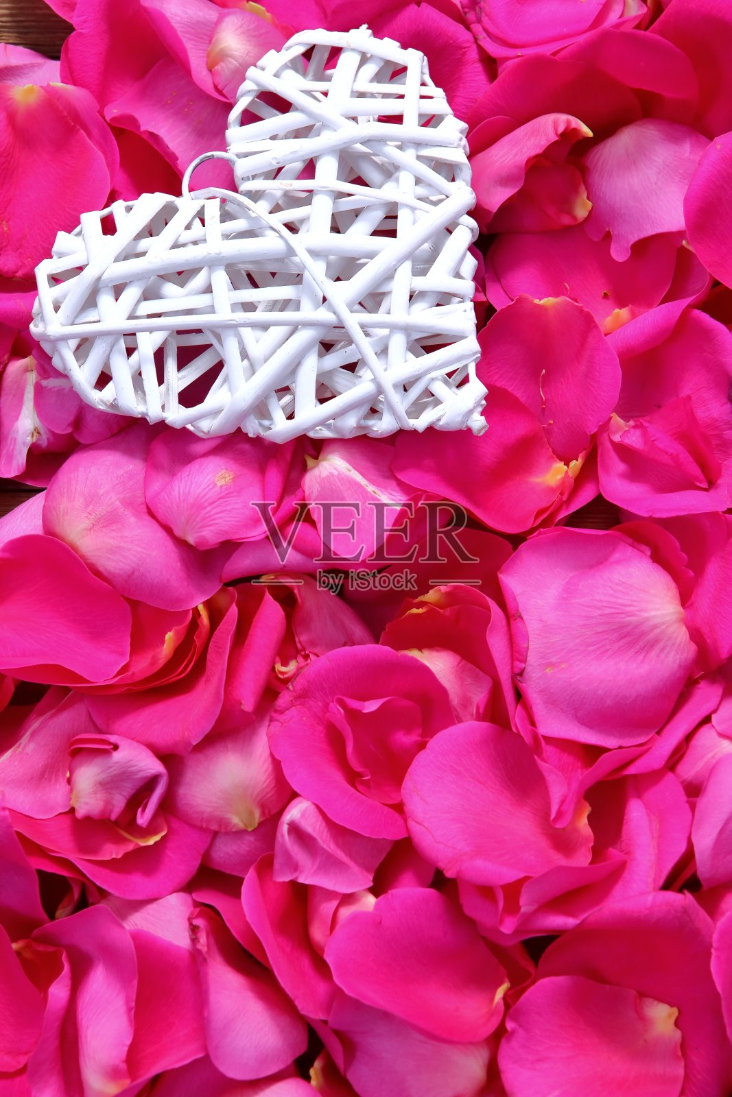 粉红色玫瑰花瓣上的心形图案。照片摄影图片