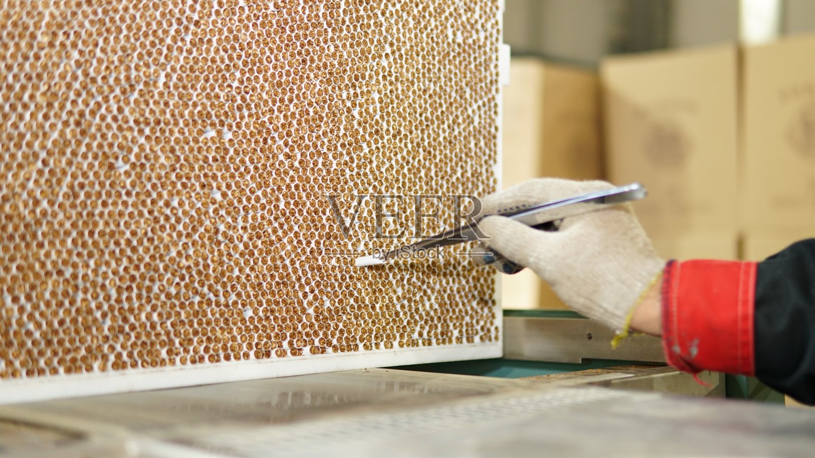 烟草工厂的工人用镊子夹起香烟照片摄影图片