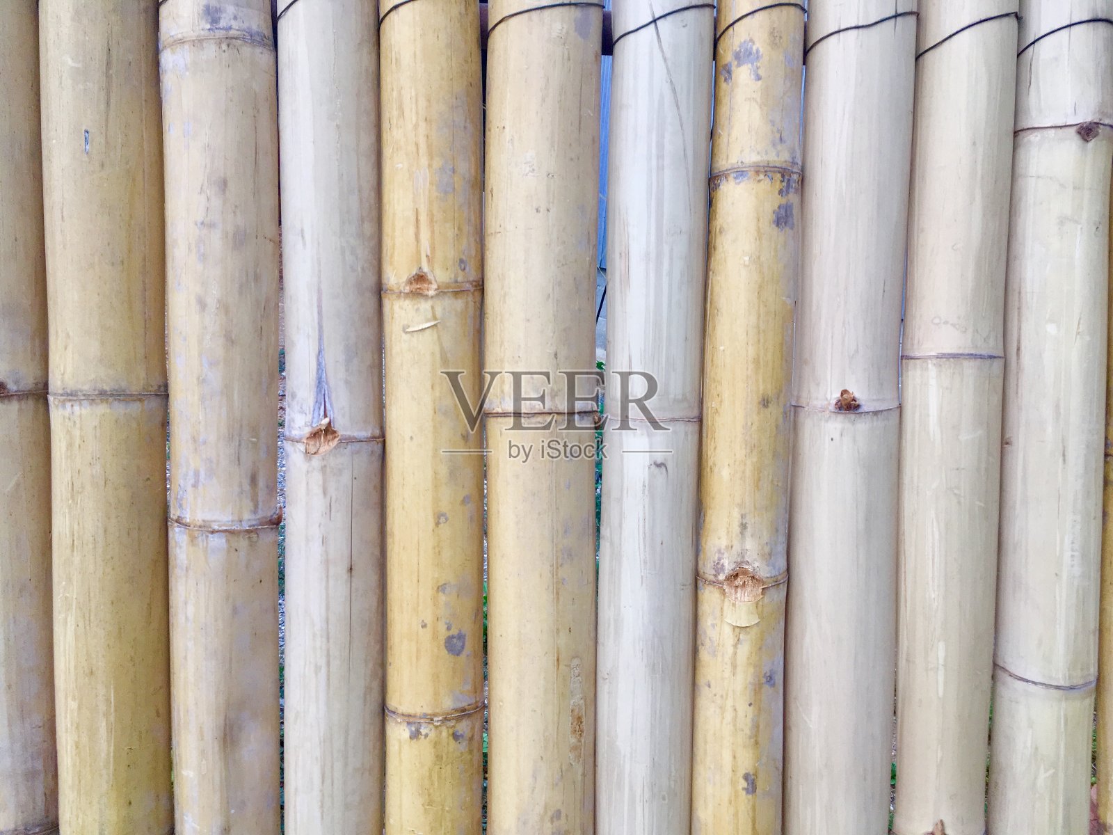 竹墙背景自然泰照片摄影图片