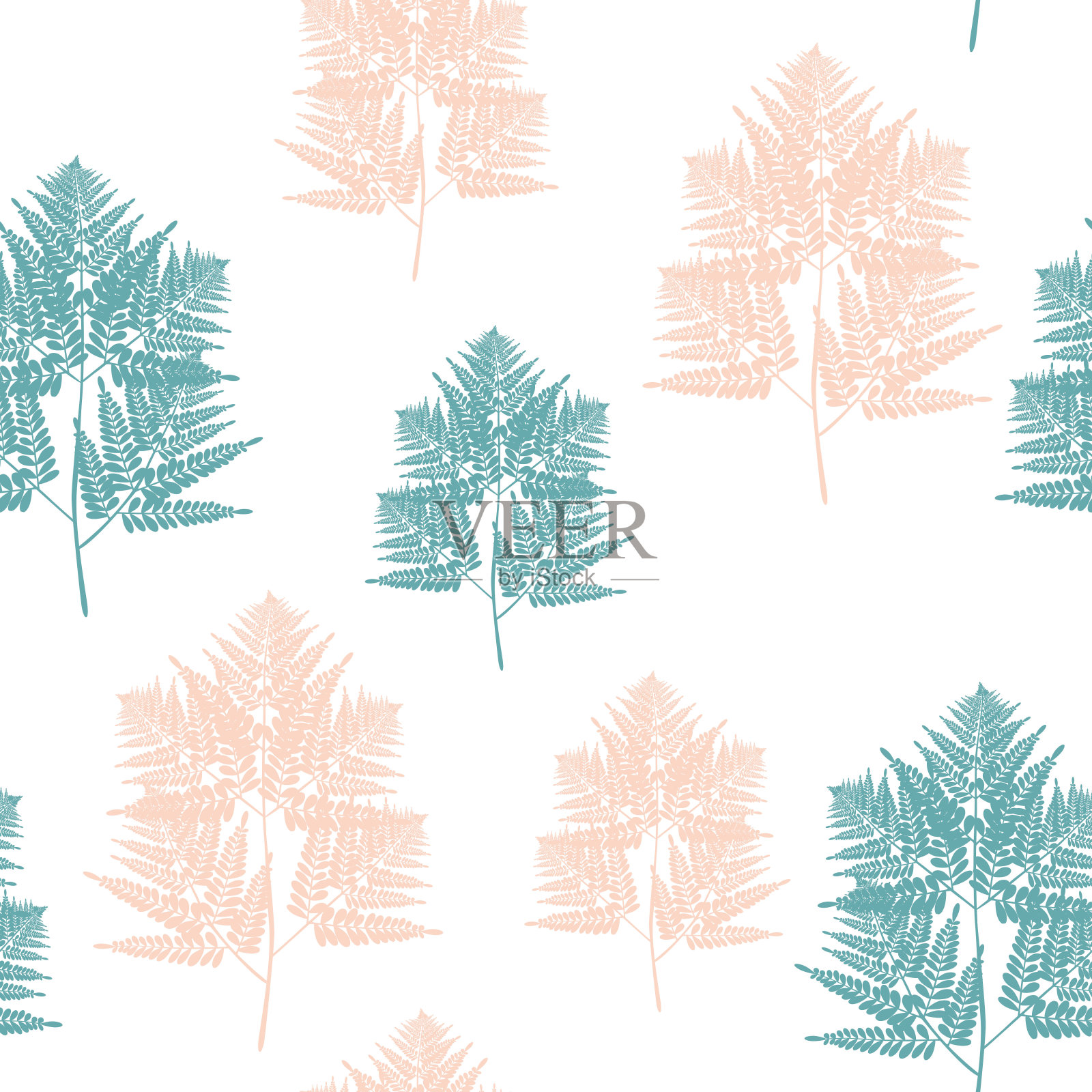 蕨类热带叶无缝格局。灌木植物的叶子装饰在白色的背景上。翠玉蕨类和新西兰蕨类热带森林草本植物，蕨类叶草墙纸。插画图片素材