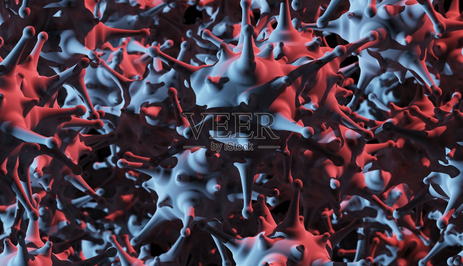 细菌照片摄影图片