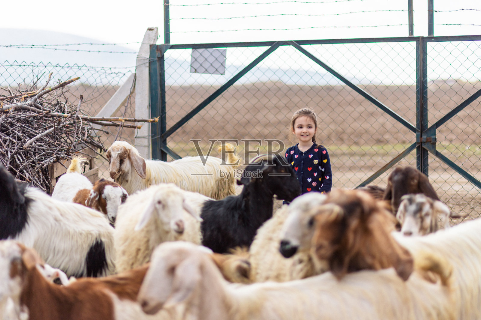 小女孩快乐的等着绵羊离开的门照片摄影图片