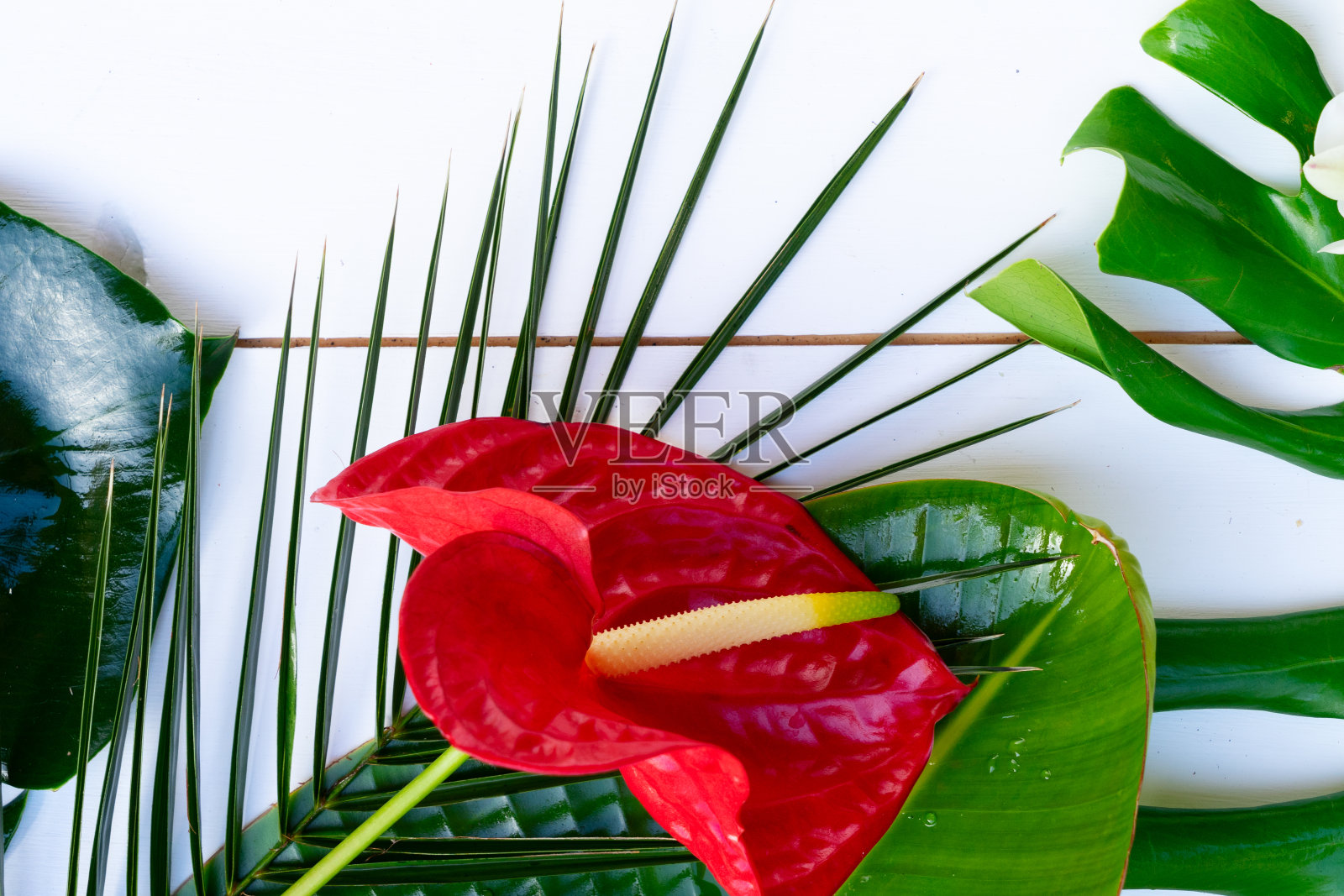 夏天的平地在白板上铺开风景照片摄影图片