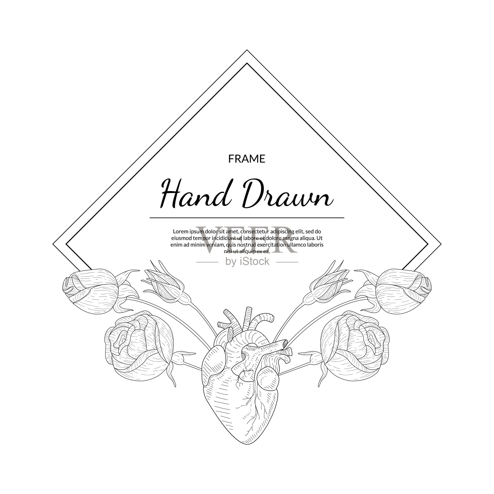 手绘单色框架与玫瑰花和人类的心矢量插图插画图片素材