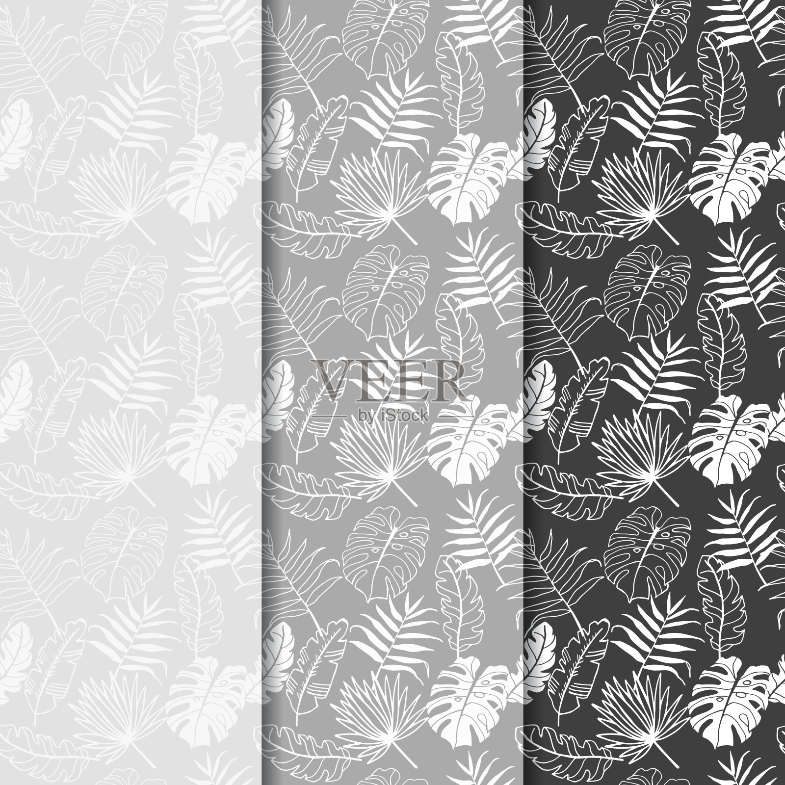 棕榈叶热带花卉图案手绘素描插画图片素材