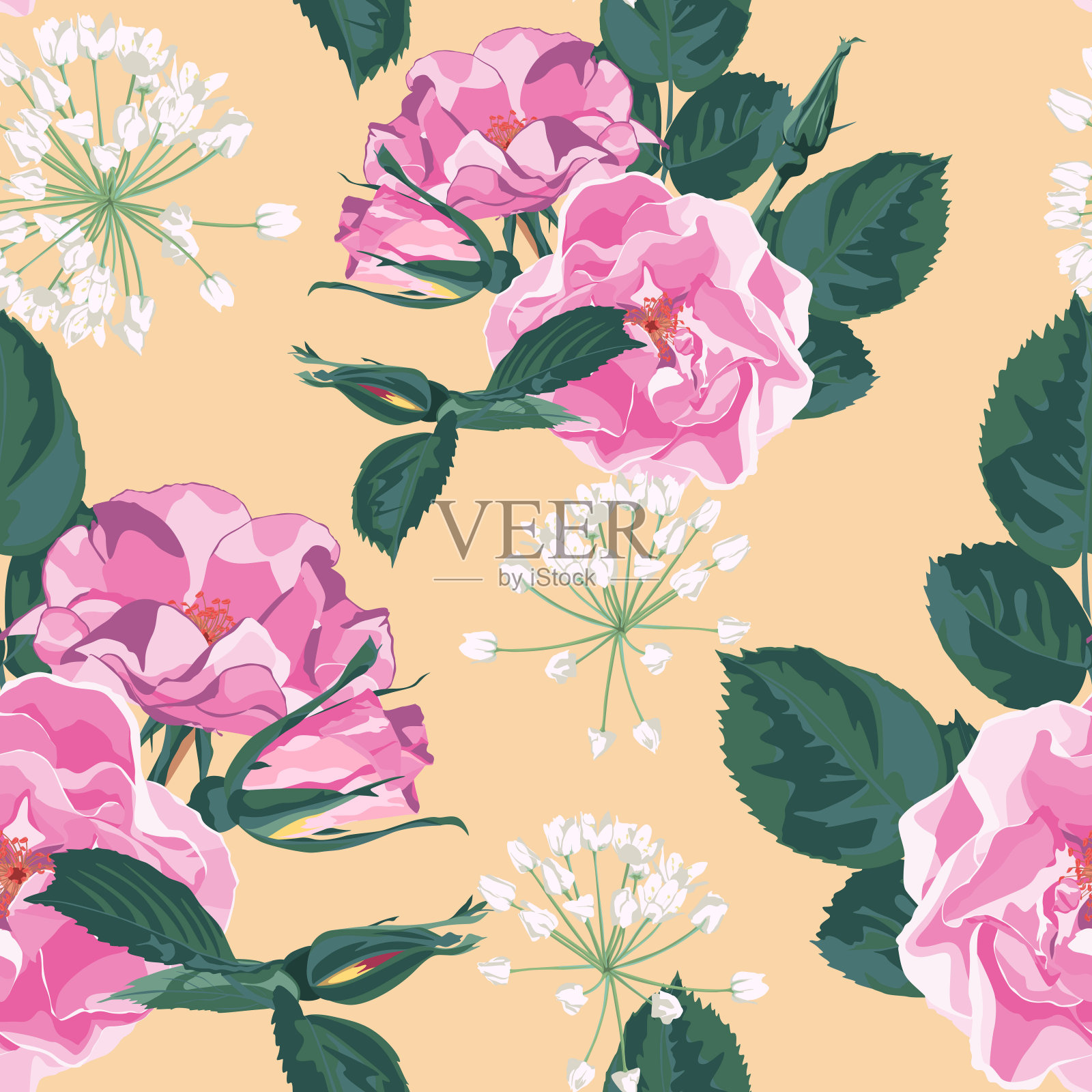 时髦的花卉背景与野生玫瑰，狗狗玫瑰花园花。手绘风格在黄色背景。盛开的植物图案散落随机。插画图片素材