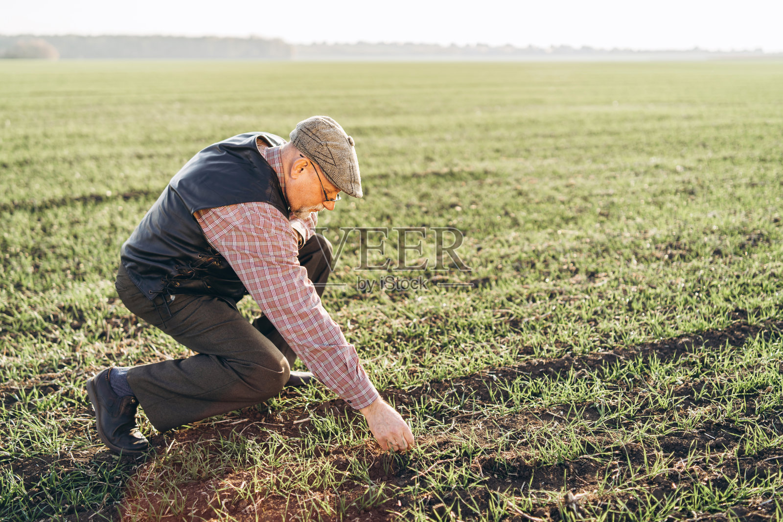 成年农民在检查他农场的植物。照片摄影图片