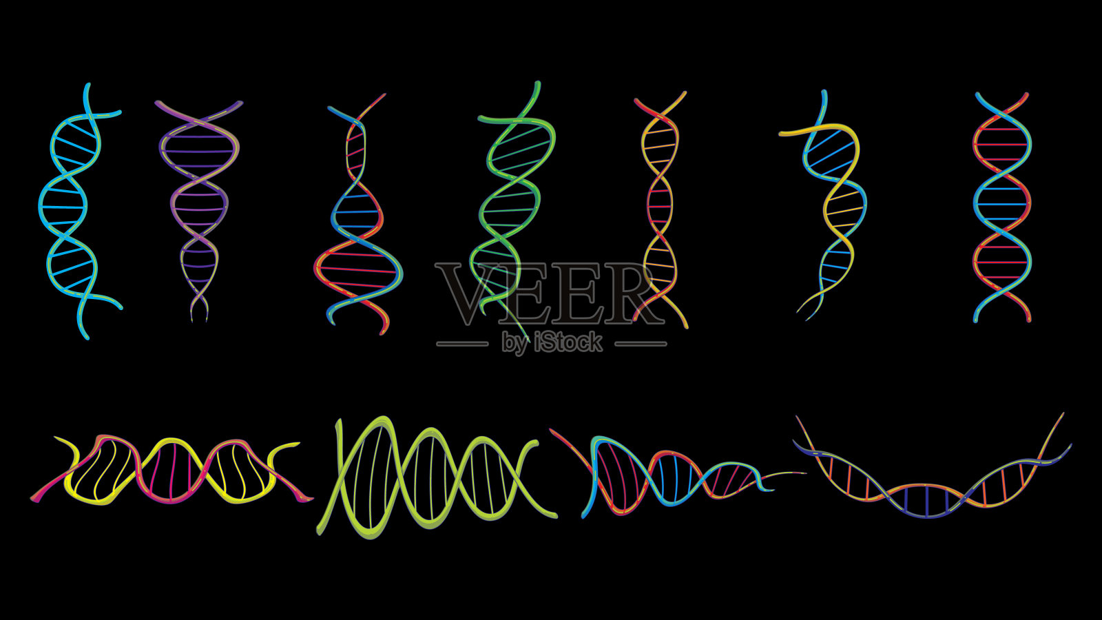 一组四种彩色的美丽的医学科学扭曲结构的dna基因的抽象模型在一个黑色的背景。矢量图插画图片素材
