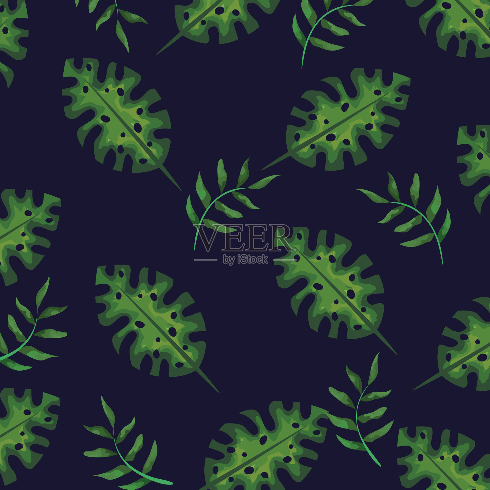 热带树叶自然植物风格插画图片素材