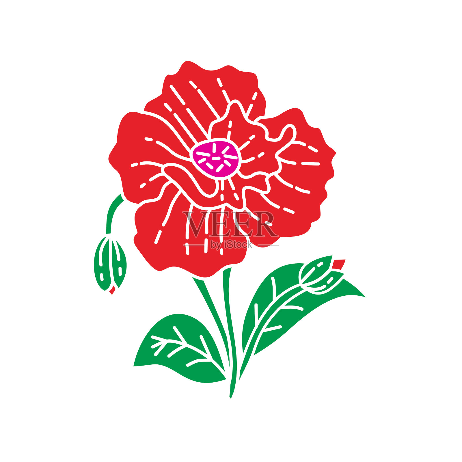 花叶子插图设计模板矢量设计元素图片