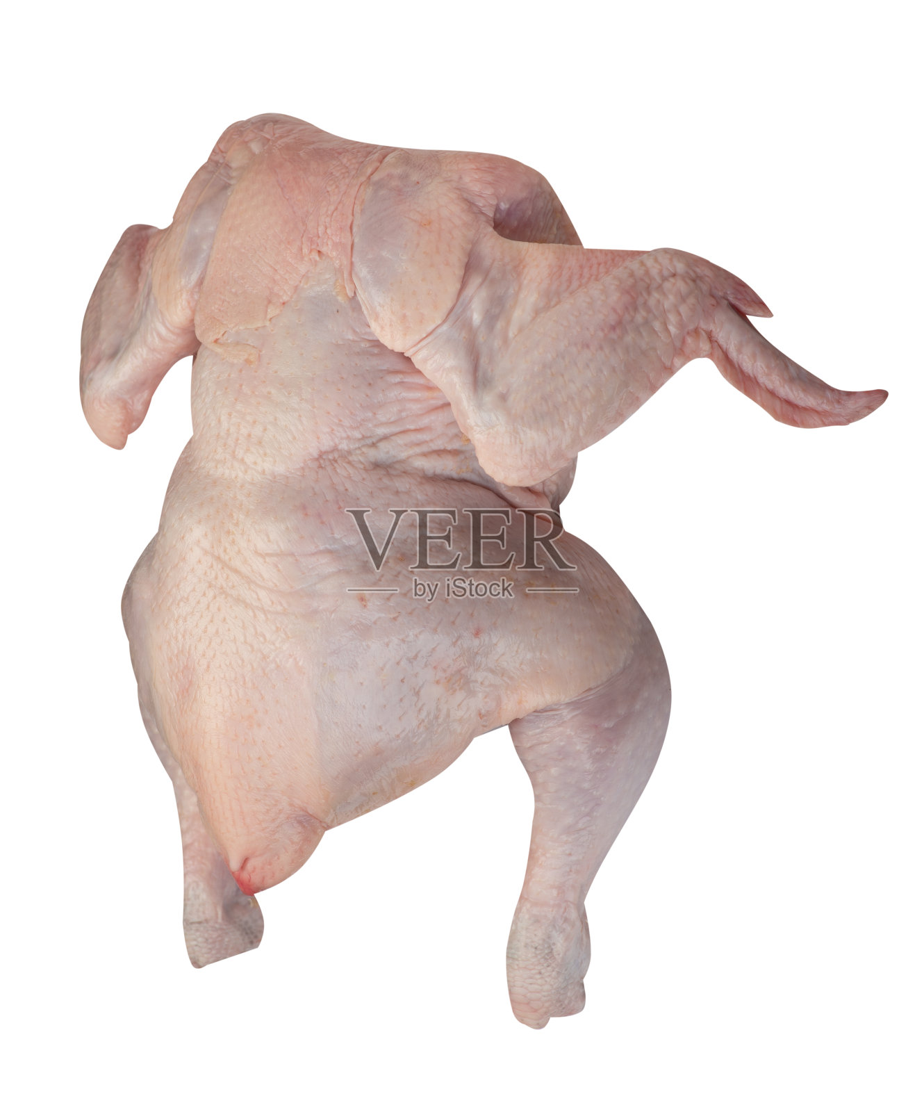 生鲜鸡孤立在白色背景照片摄影图片