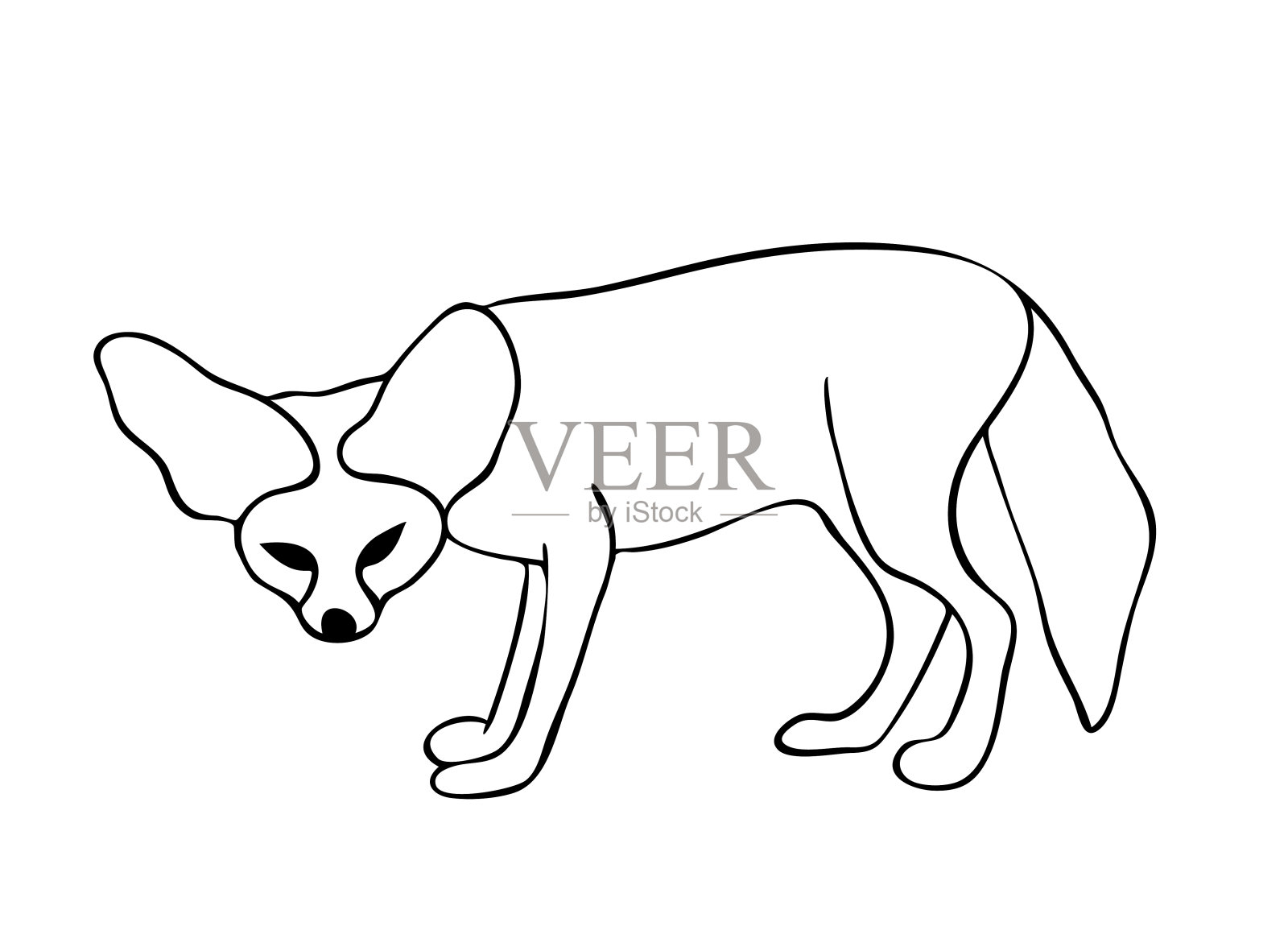 矢量插图，孤立耳廓狐黑白颜色，轮廓手绘绘图设计元素图片