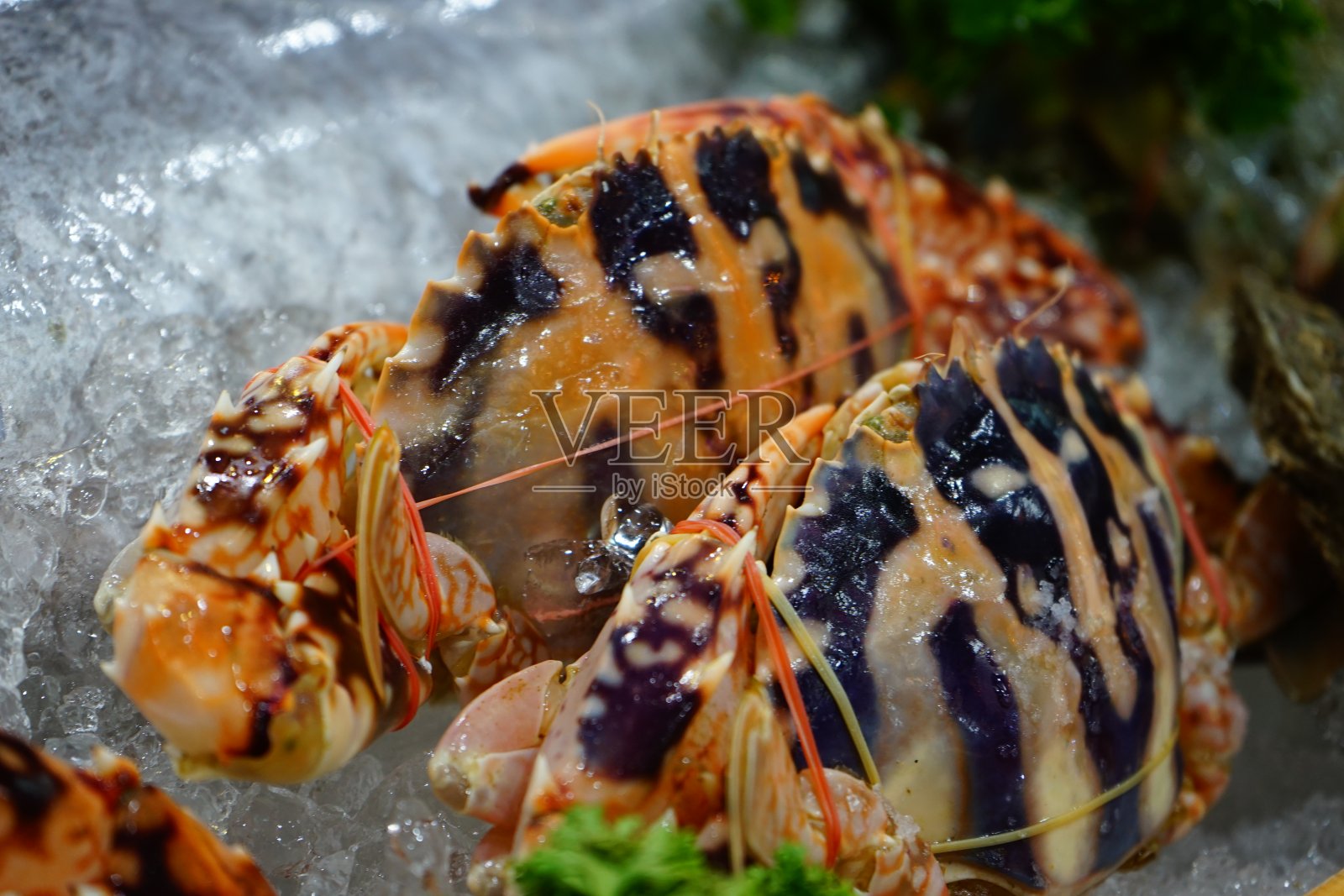 市场货架上的鱼类肉类产品照片摄影图片