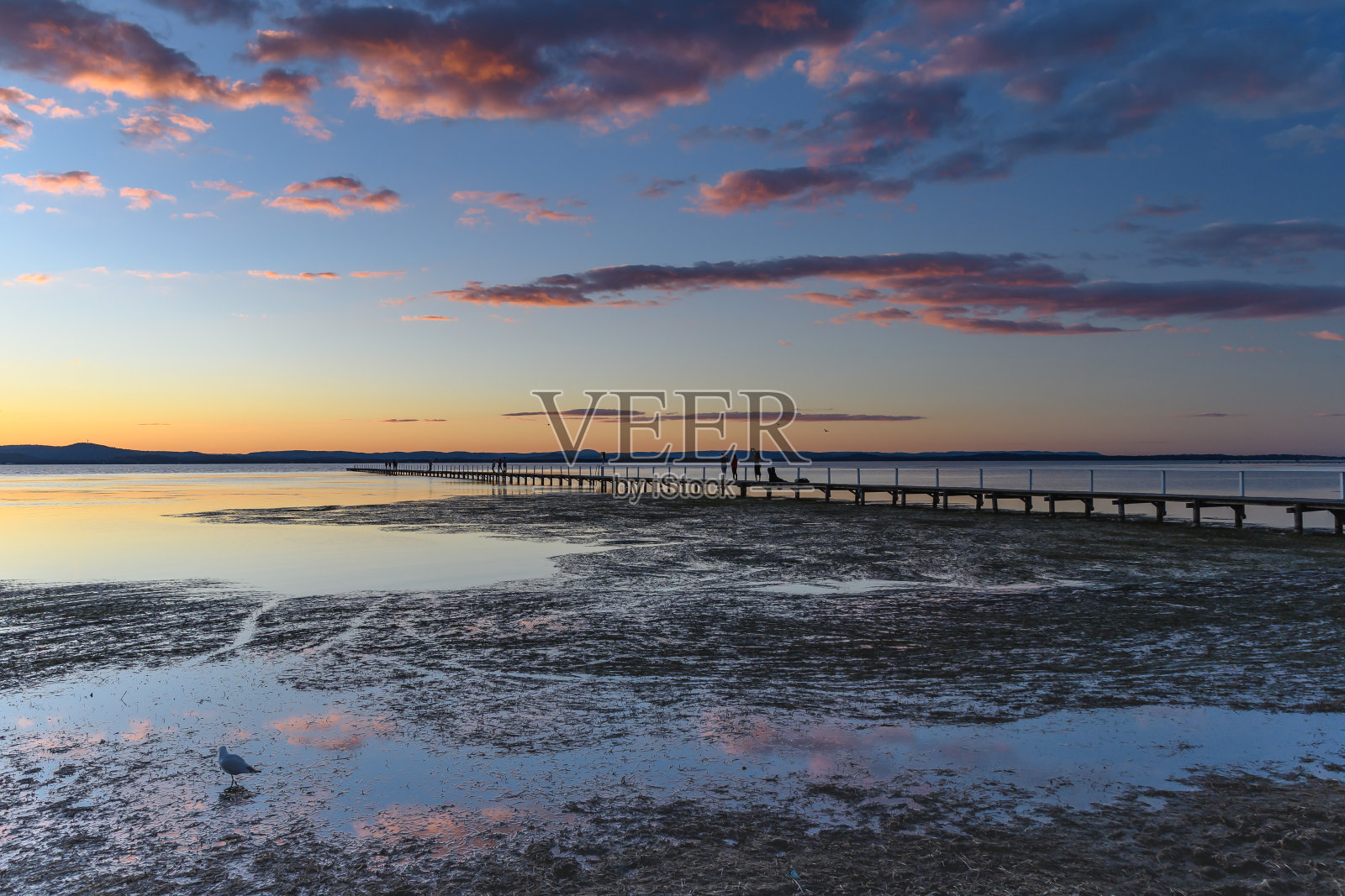 海鸥。剪影和云彩，日落在湖边照片摄影图片