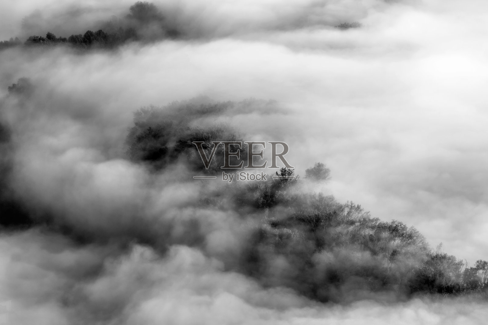 日出之上的薄雾森林，意大利的风景照片摄影图片