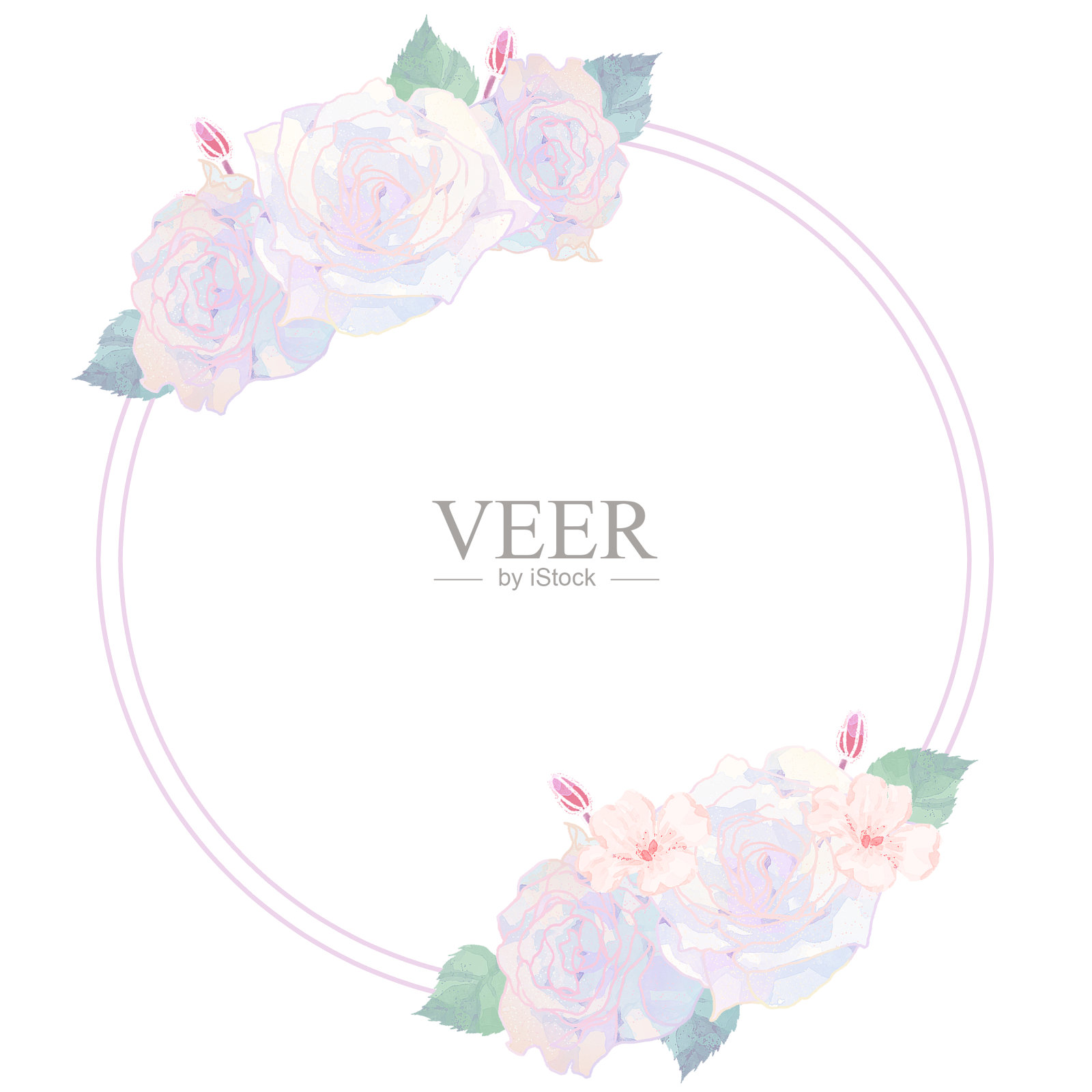 白玫瑰框架向量插画图片素材