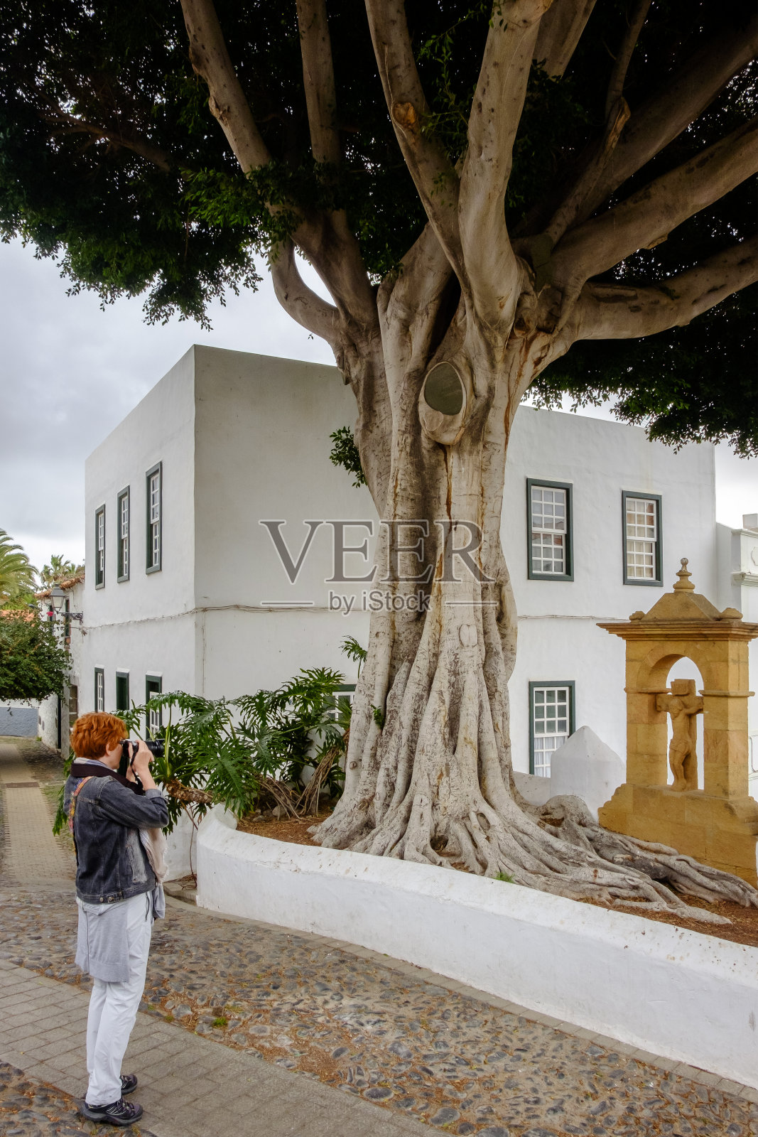 格兰卡纳利亚，加那利群岛-特尔德照片摄影图片