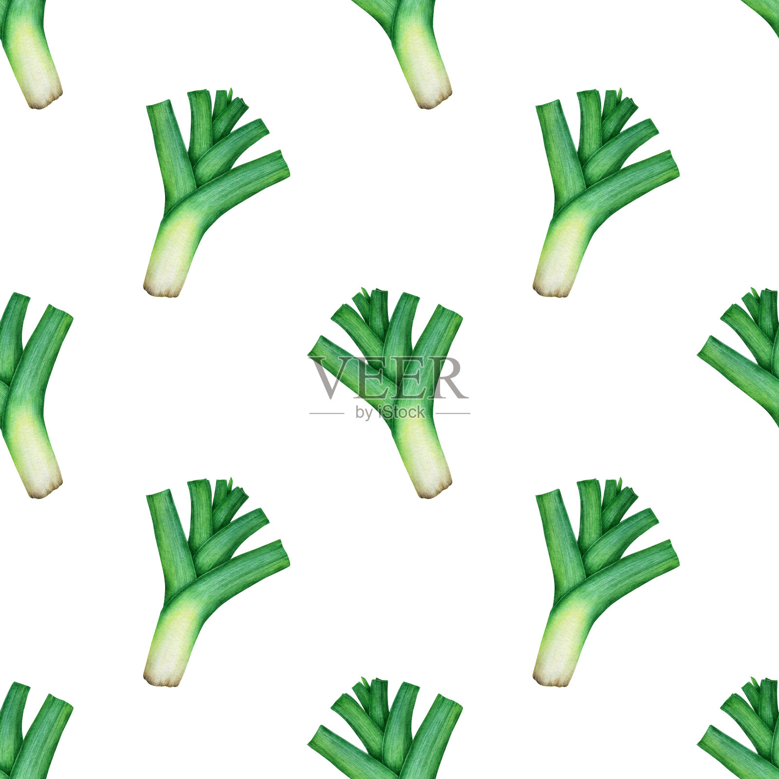 无缝图案与青葱插画图片素材