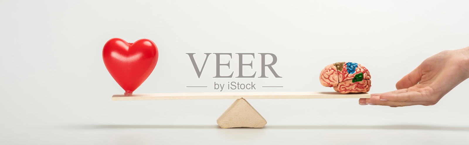 全景拍摄的女人拿着跷跷板与人类的大脑和红心在白色照片摄影图片