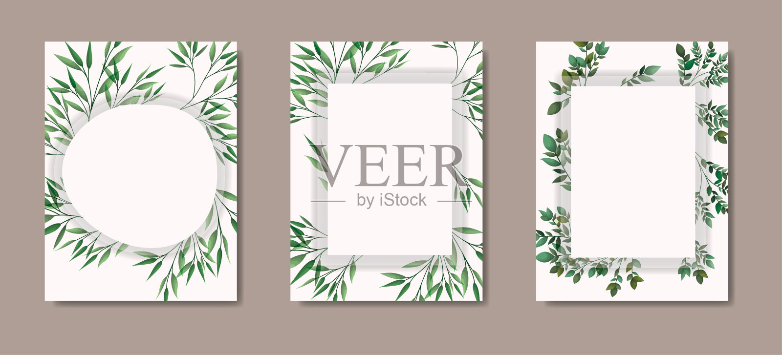 带有几何框架和月桂树叶的卡片插画图片素材