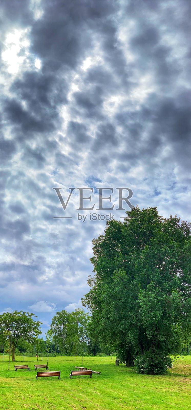 收获照片摄影图片