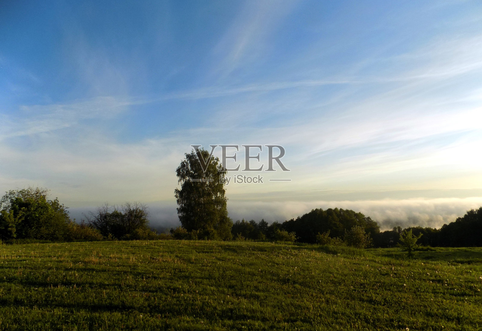 和谐。照片摄影图片