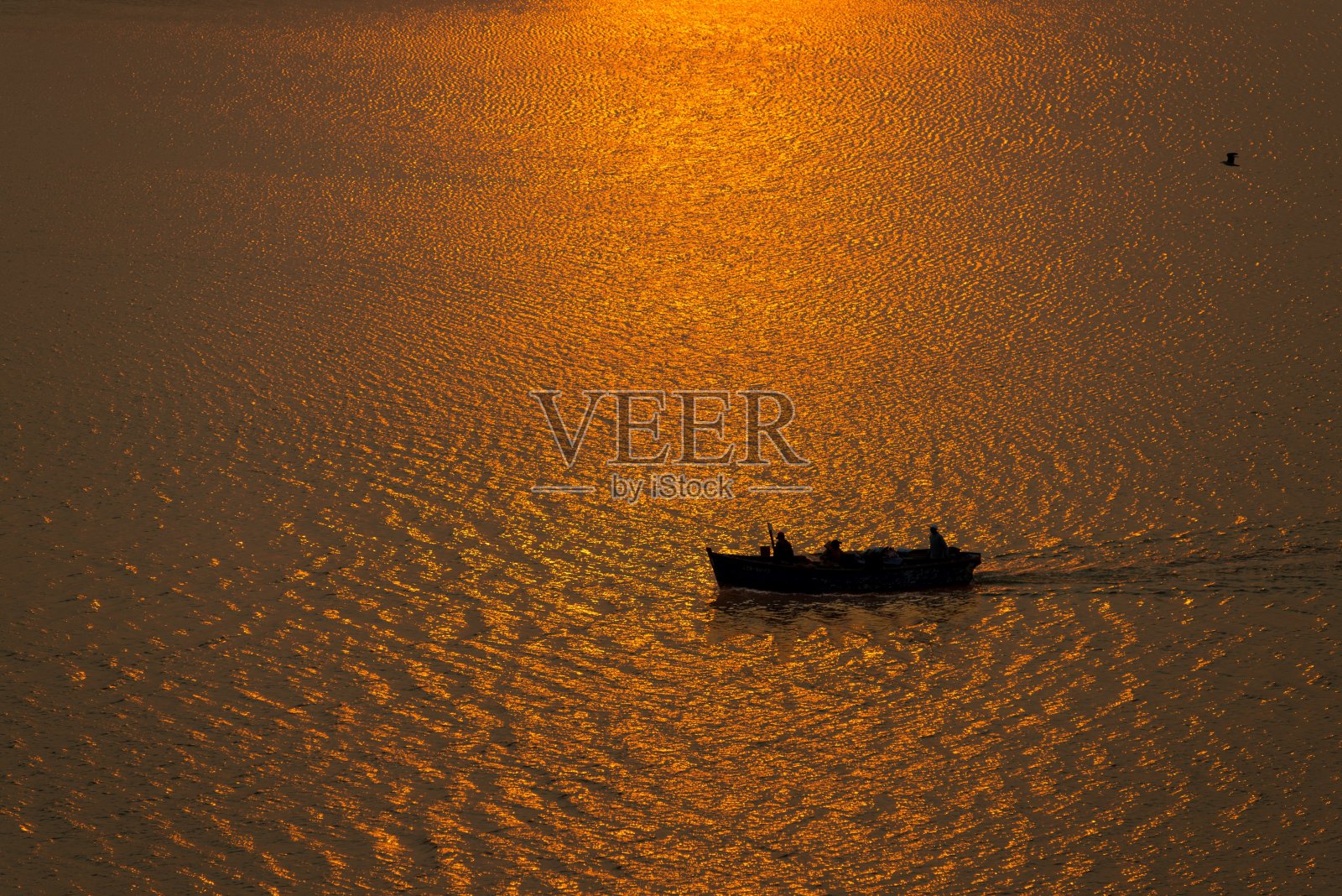 金色的海洋照片摄影图片