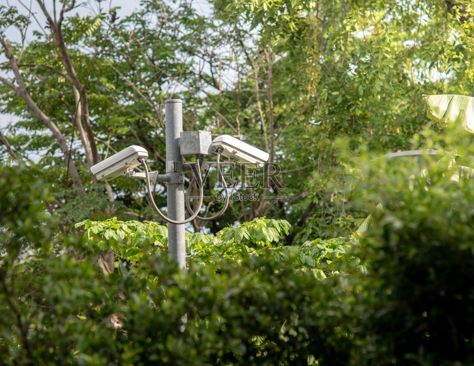 CTV系统安全技术肺分离背景照片摄影图片