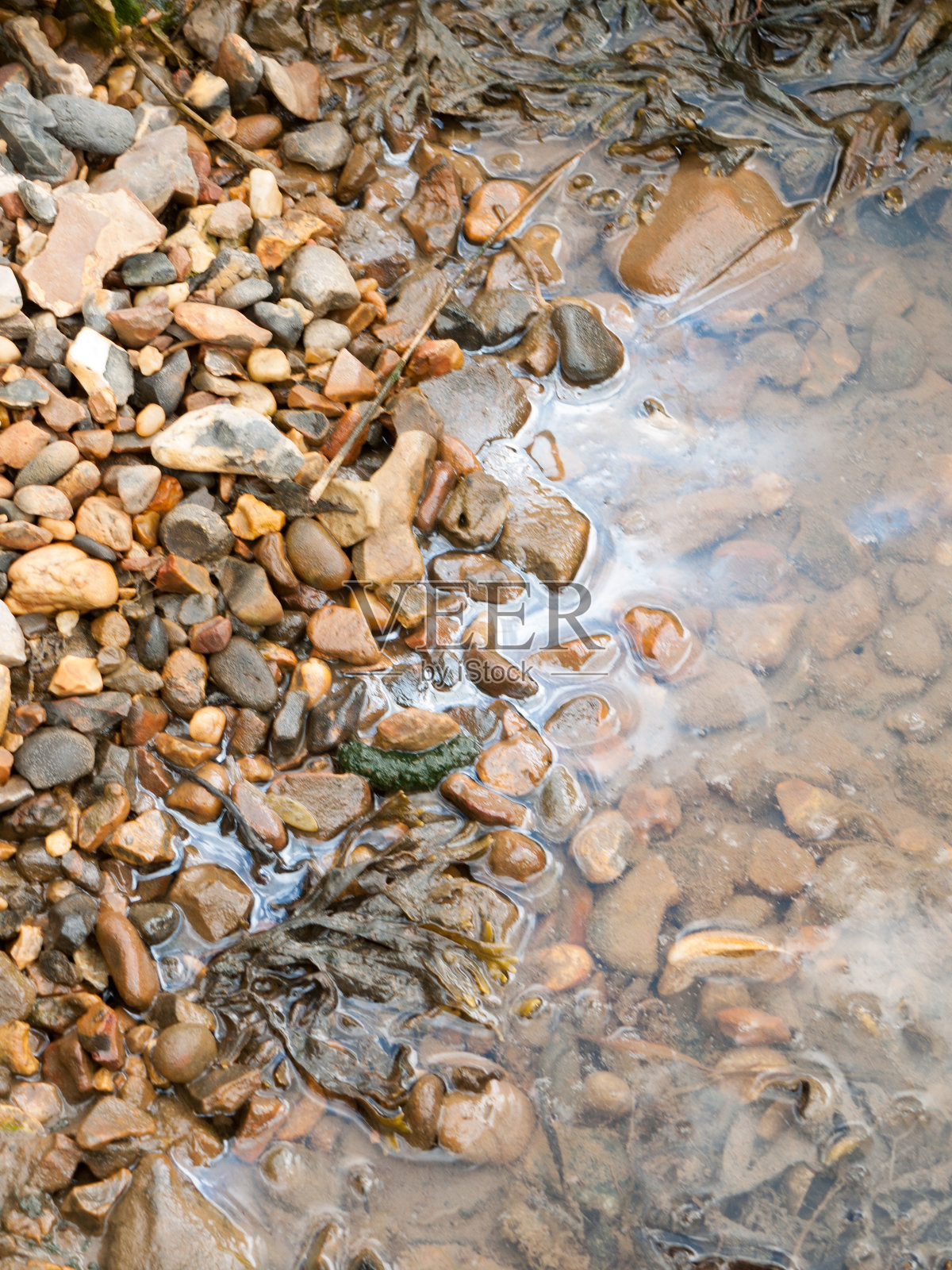 夏日酒吧海岸外美丽的港湾景观照片摄影图片