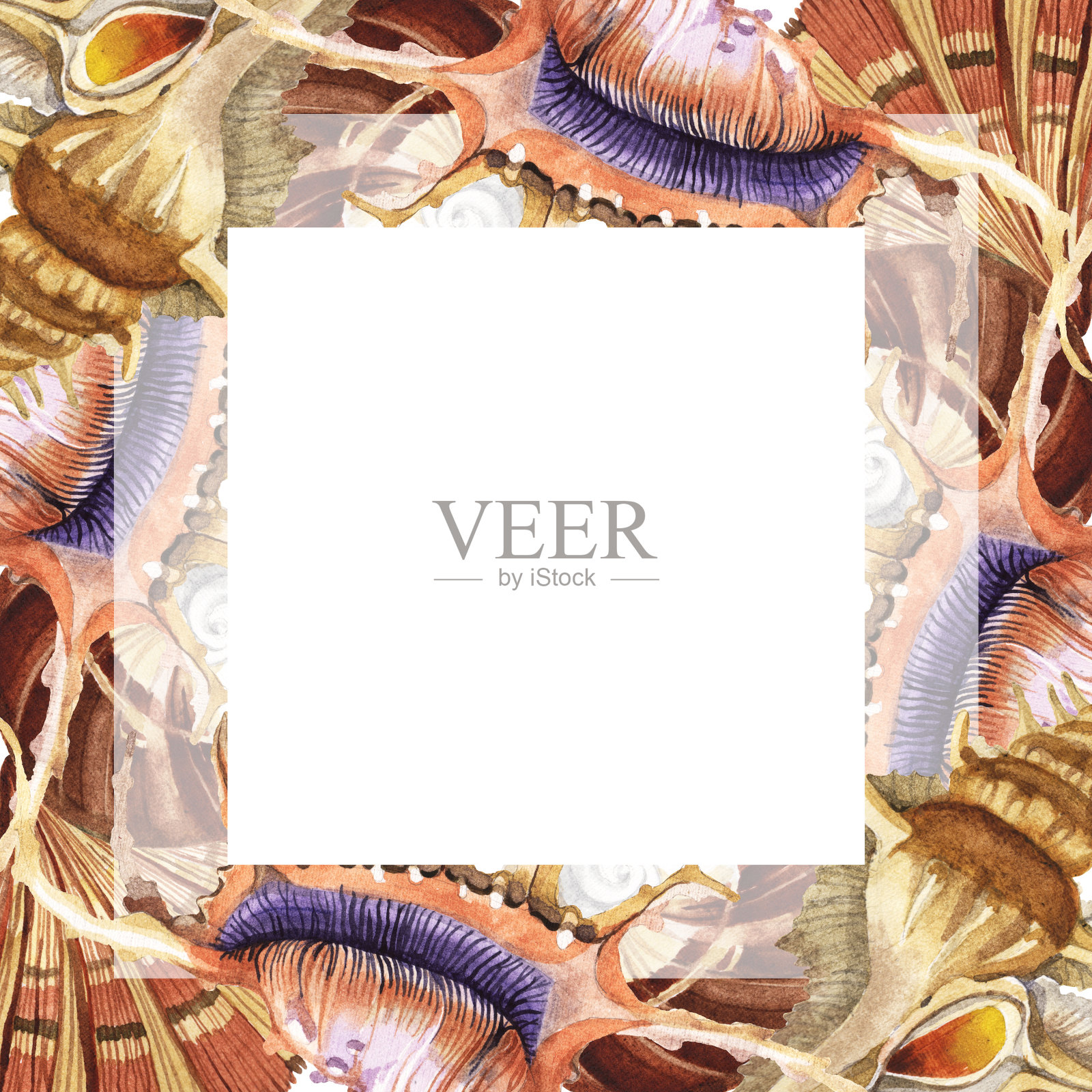 夏日海滩，贝壳，热带元素。水彩背景插图集。边框装饰方形。插画图片素材