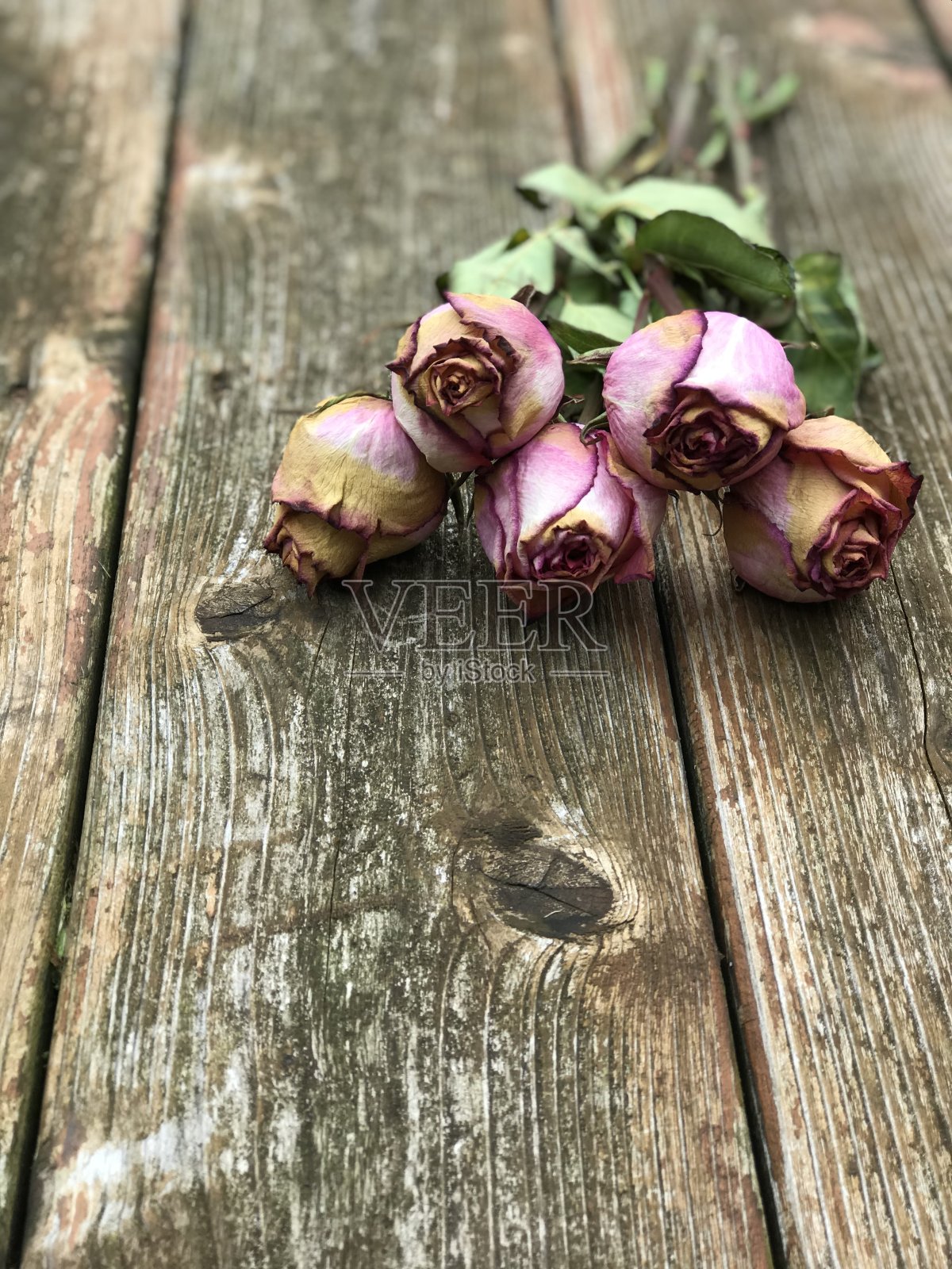 木地板上的枯萎玫瑰照片摄影图片